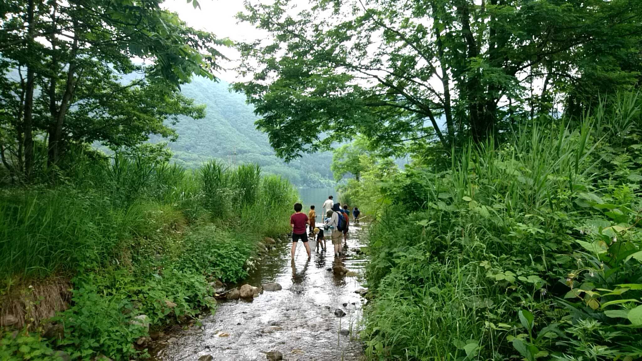 千年の森自然学校の口コミ投稿写真