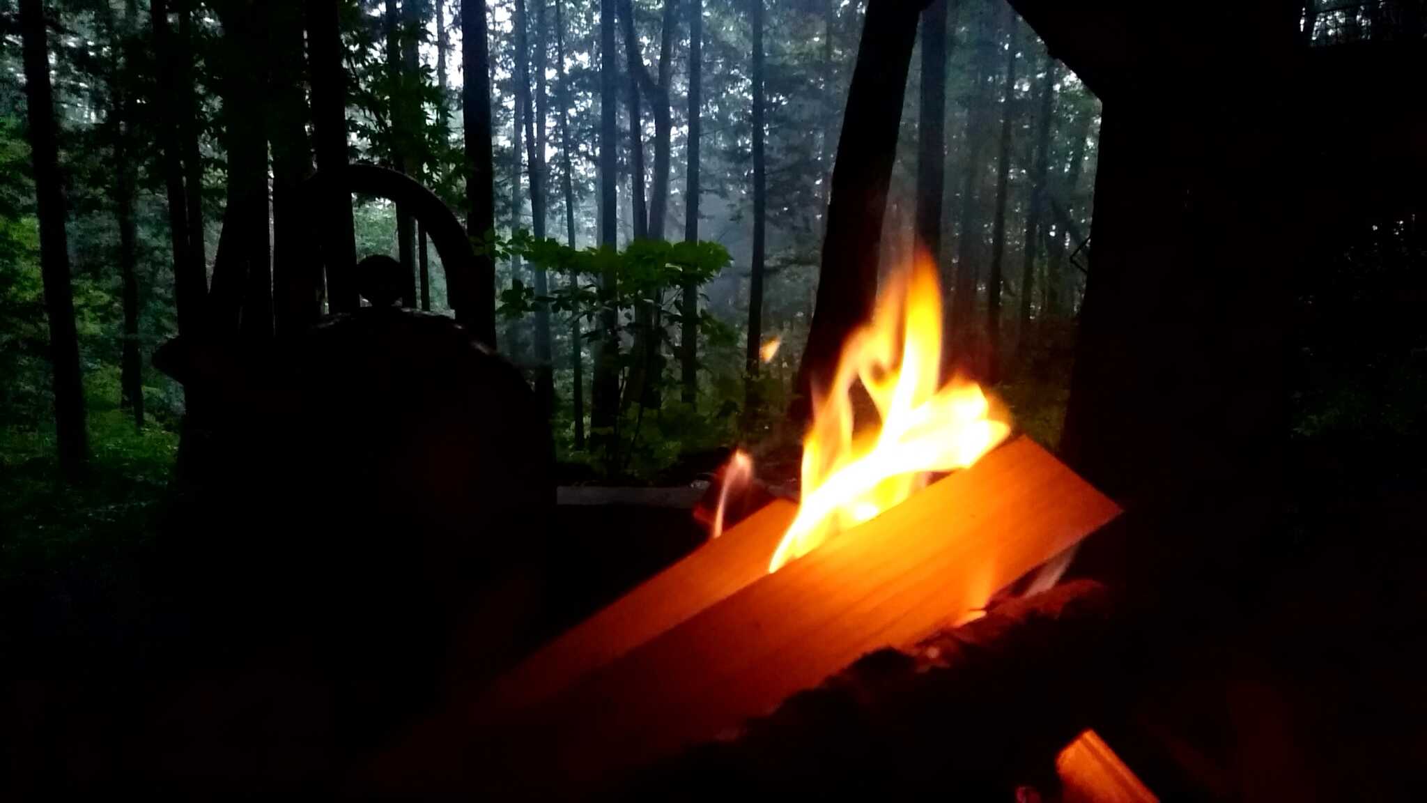 焚き火と雨の森