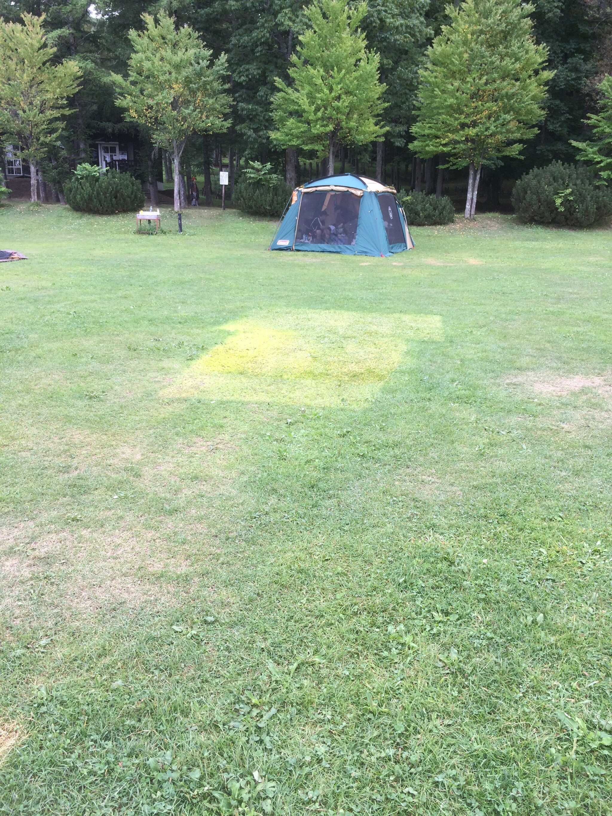 キトウシ森林公園家族旅行村の写真 2枚目