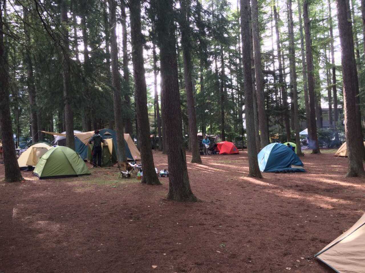 ニューブリッヂキャンプ場