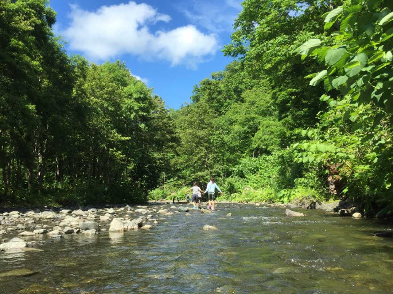 道民の森一番川地区オートキャンプ場の写真 3枚目