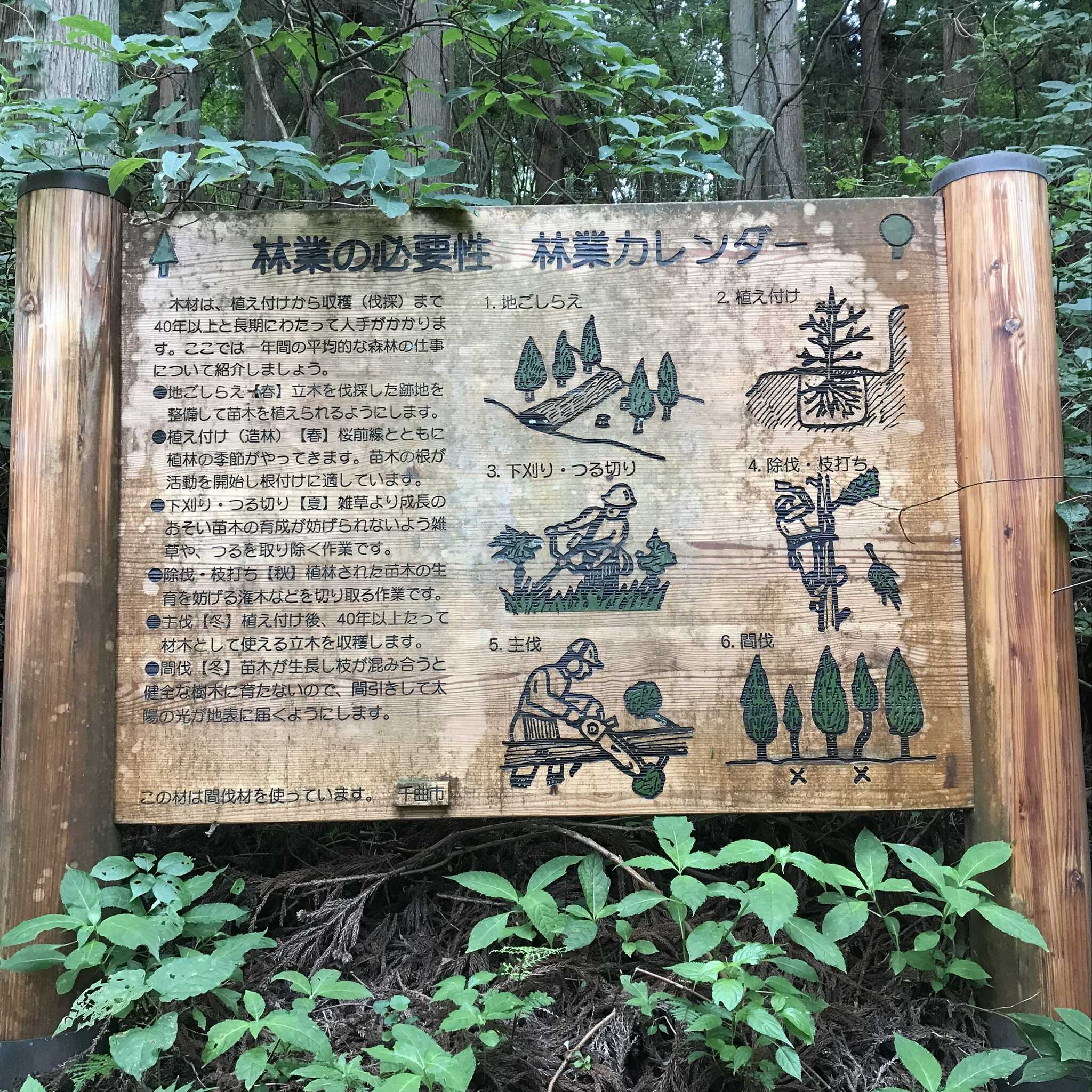 大池を取り囲む遊歩道の随所にこのような看板が。