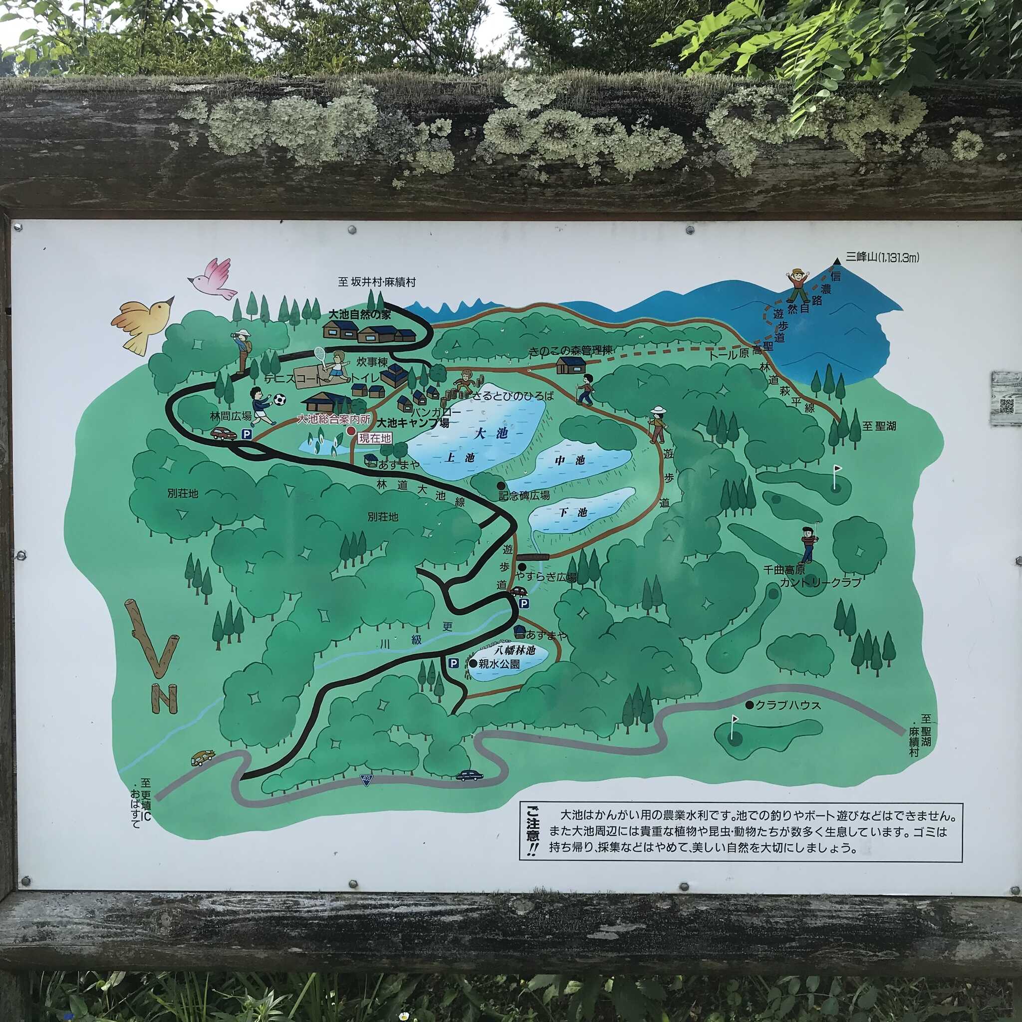 こちらがキャンプ場及びその周辺の全体像。