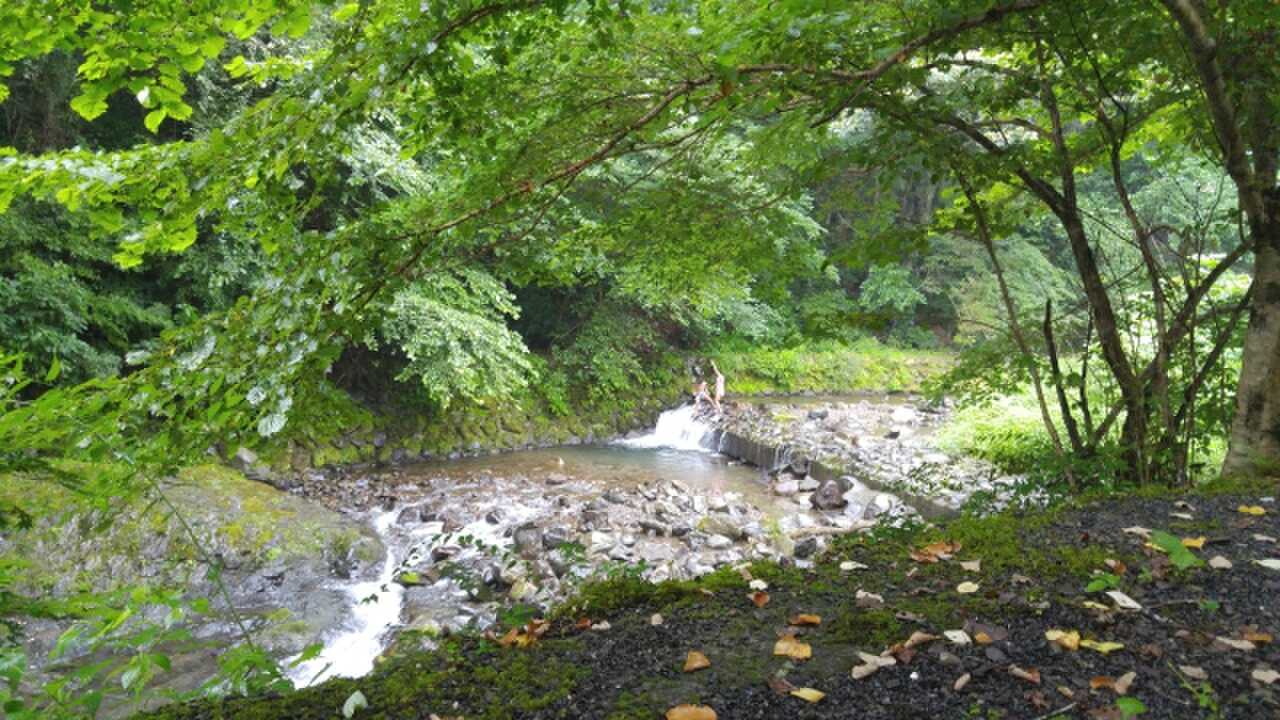 清水森林公園 黒川キャンプ場の写真 5枚目