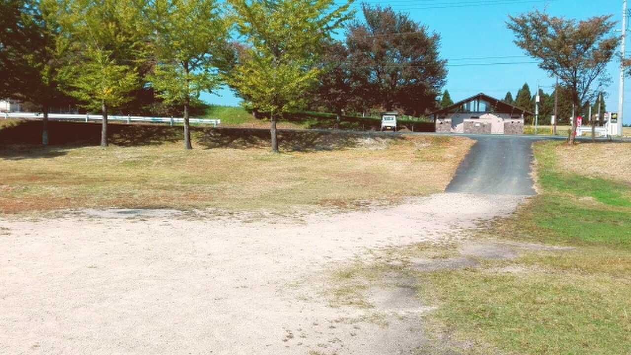 大山池野営場の写真 2枚目