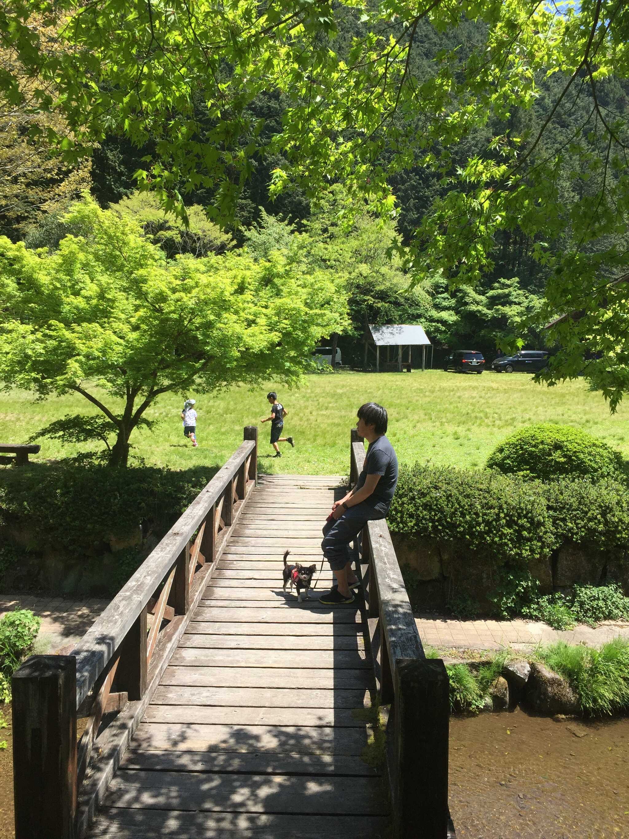 八滝ウッディランドの写真 4枚目