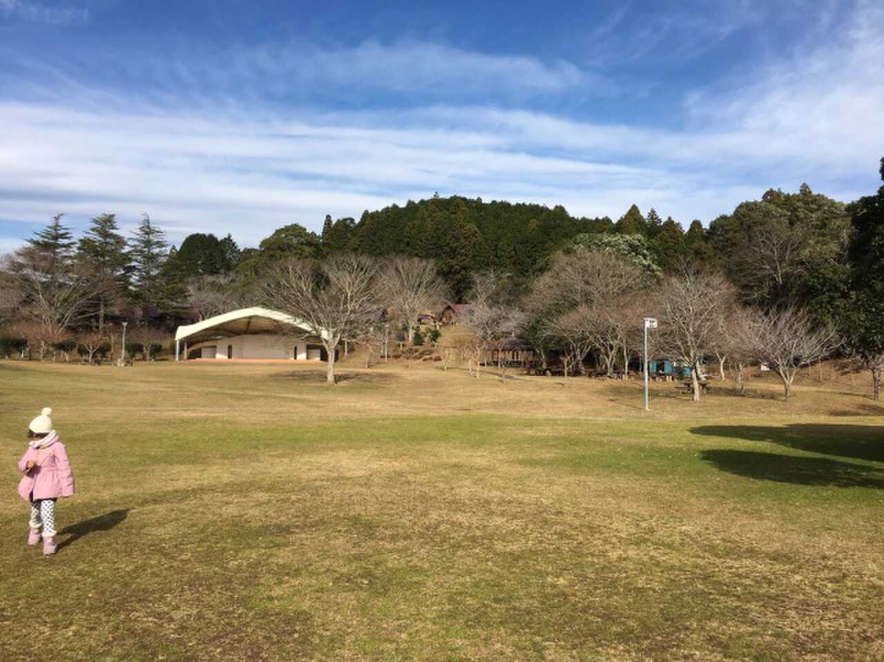 内浦山県民の森の写真 3枚目