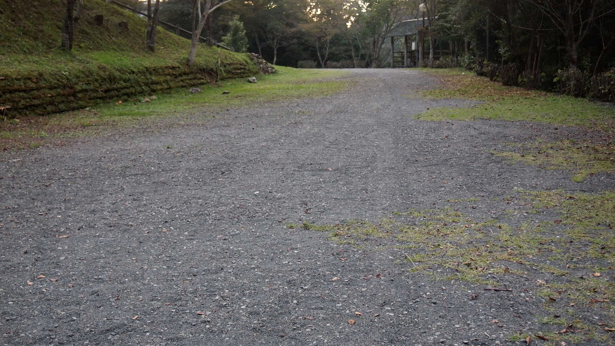 太郎川公園キャンプ場の写真 3枚目