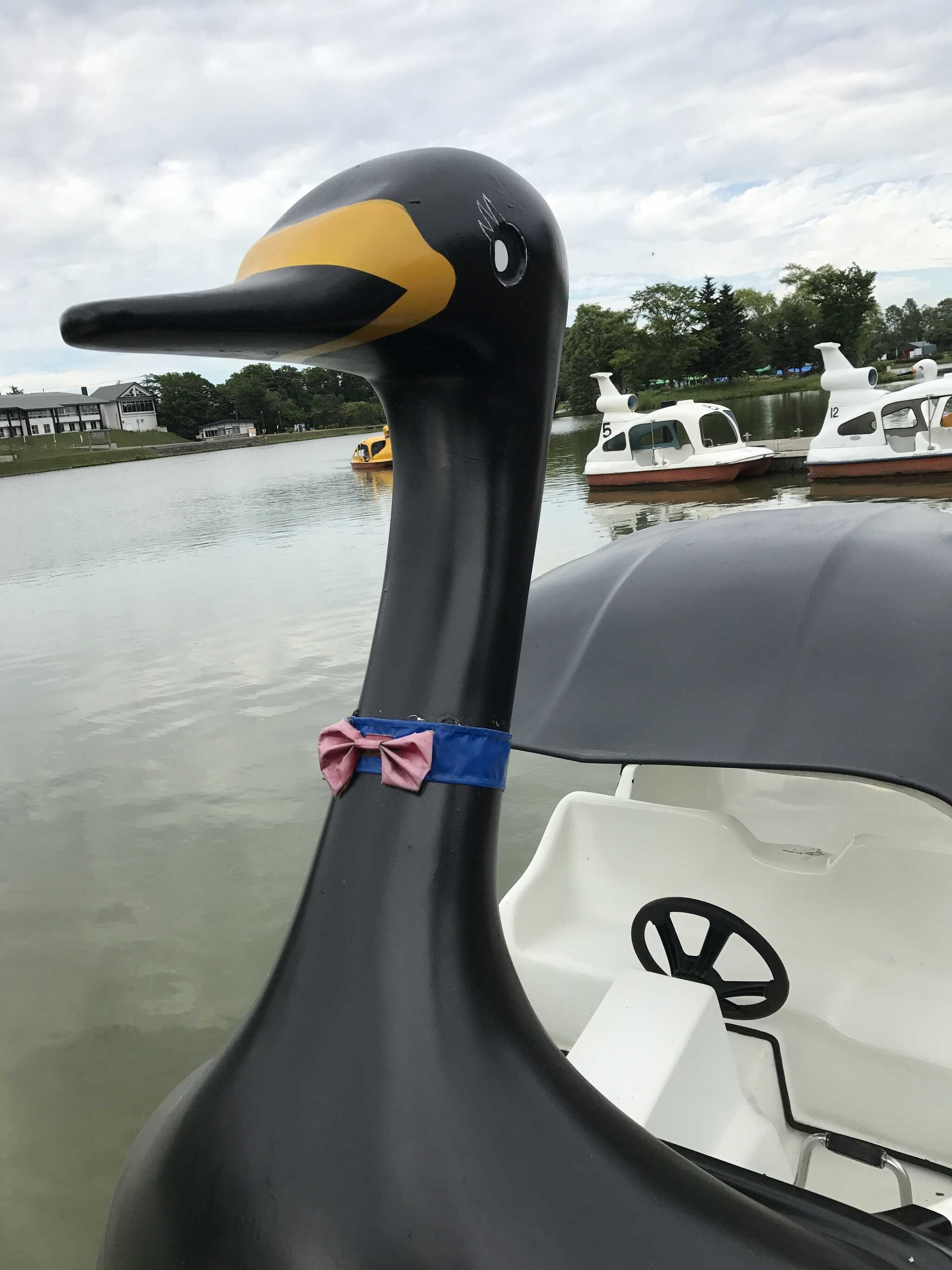 鶴沼公園キャンプ場の写真 3枚目