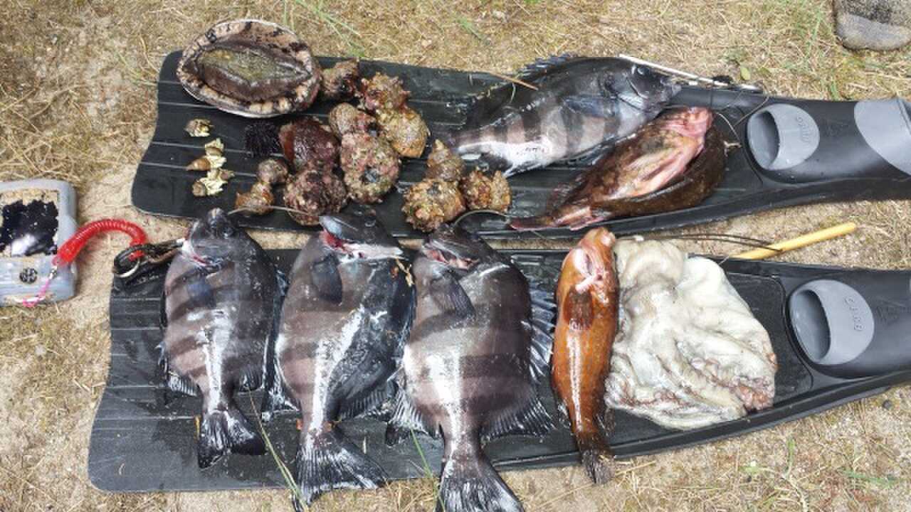 琴引浜掛津キャンプ場の写真 2枚目