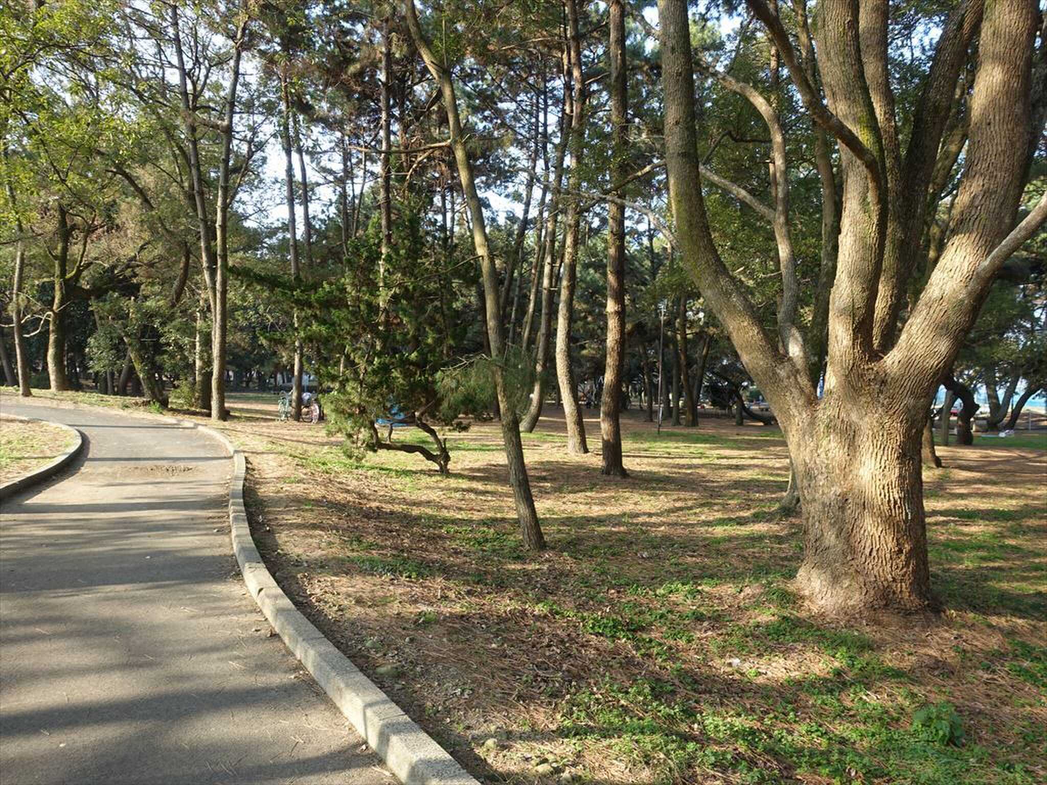 一の宮公園内キャンプ場の写真 2枚目