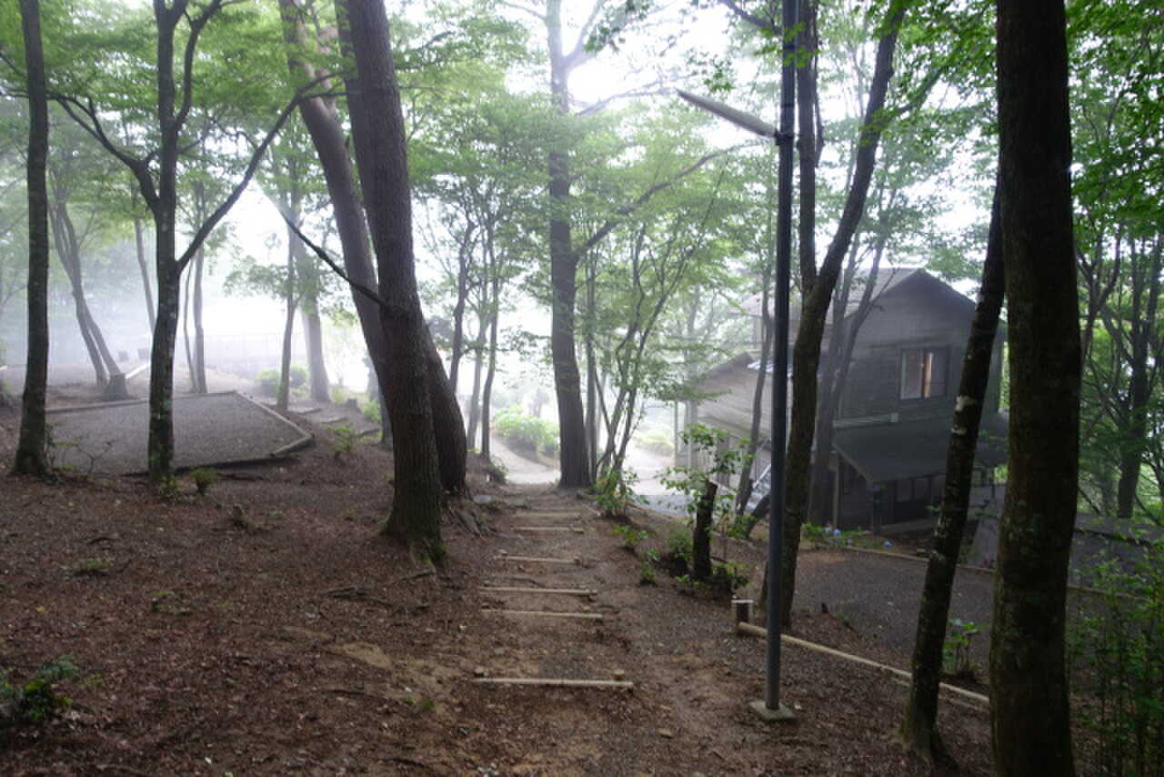 大川山キャンプ場