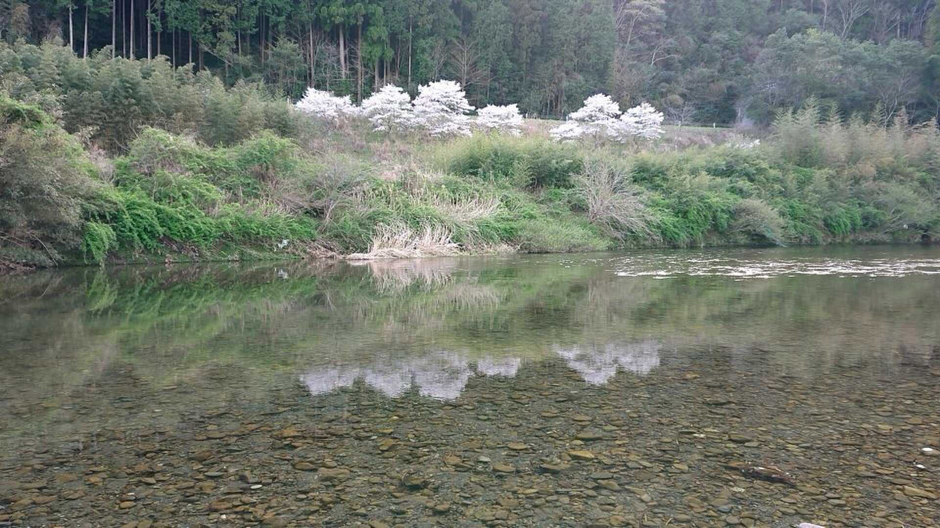 横の川