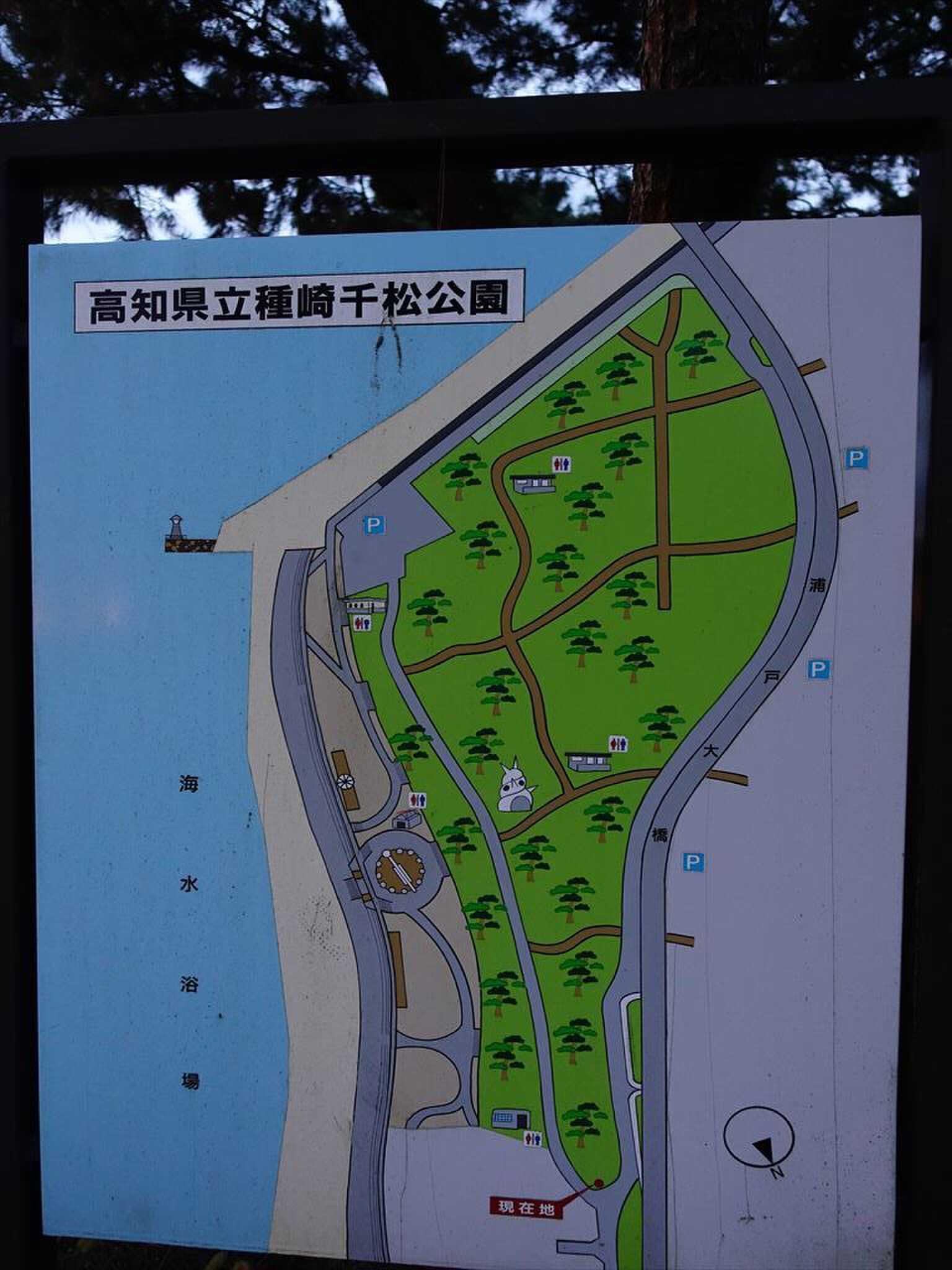 高知県立種崎千松公園の写真 5枚目