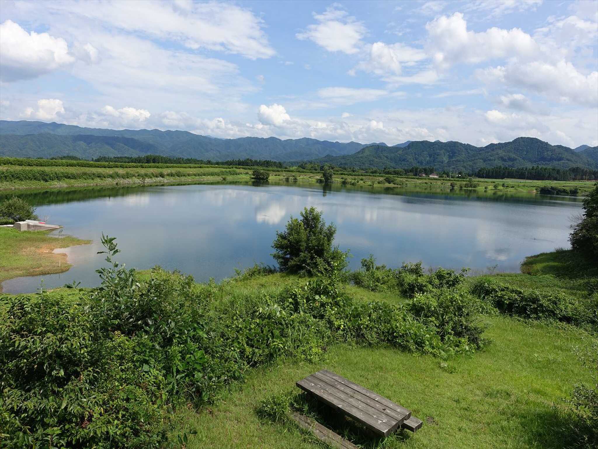 大山池野営場の写真 4枚目