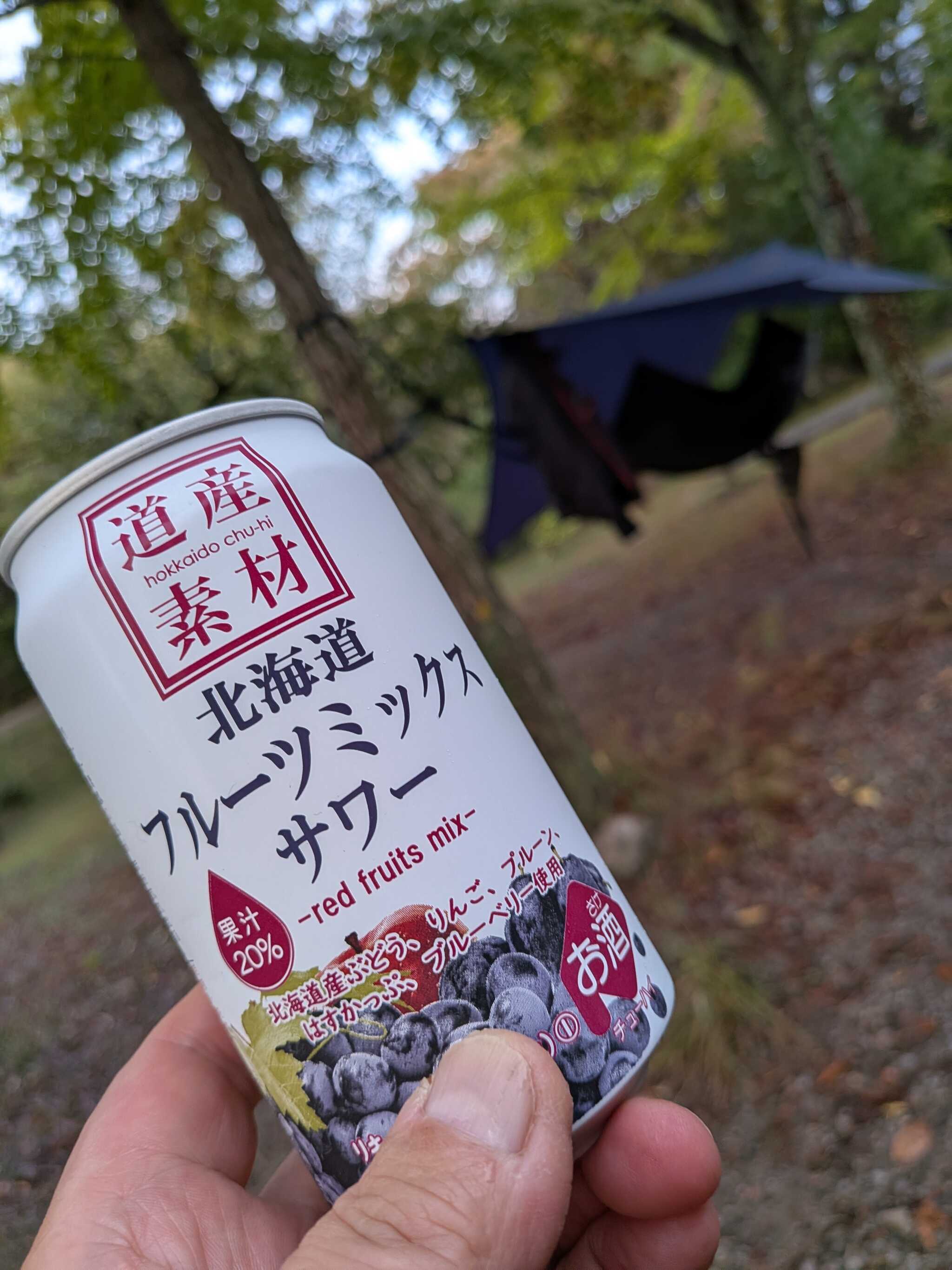 ハンモック泊