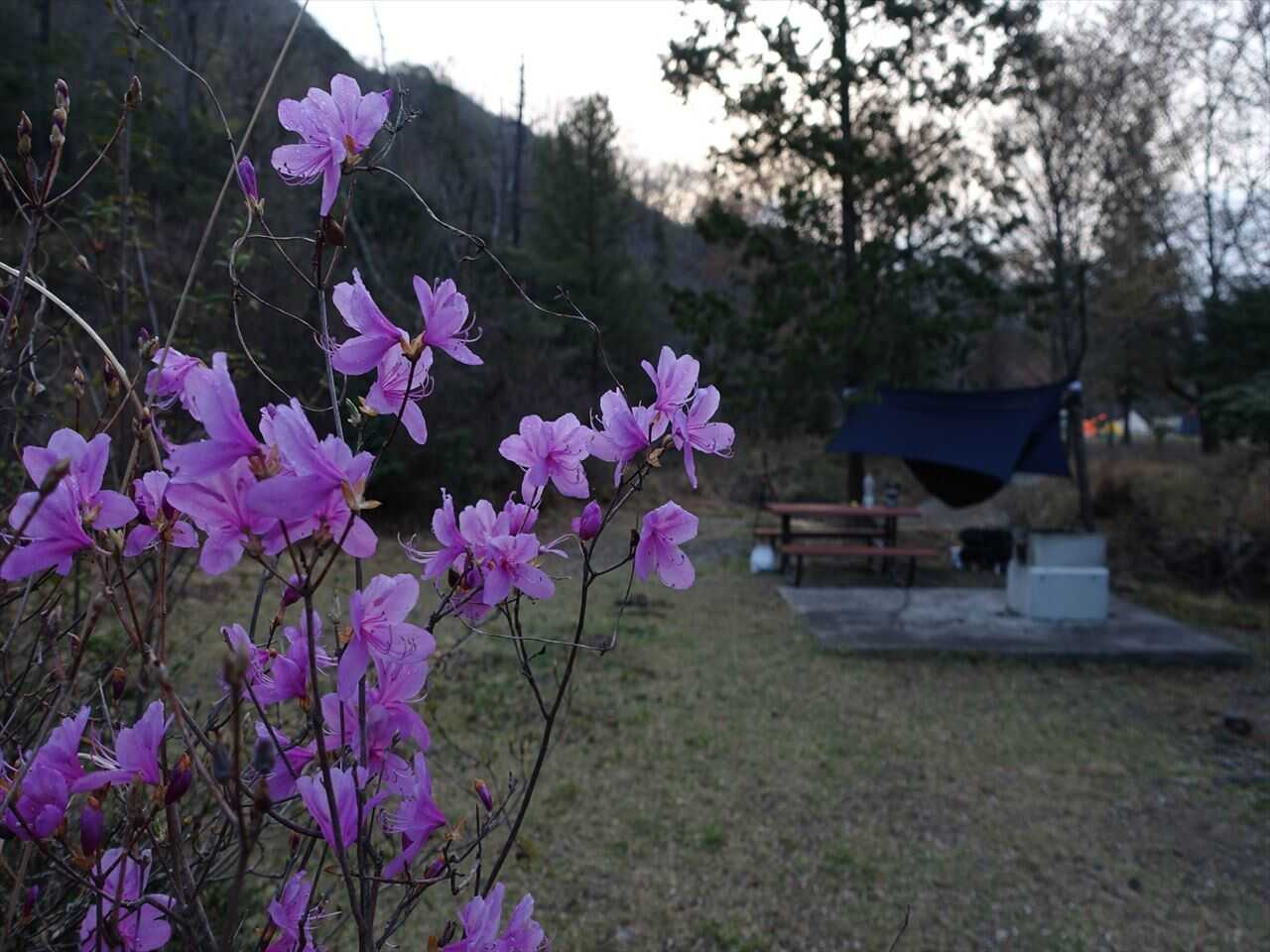 古法華自然公園の写真 2枚目