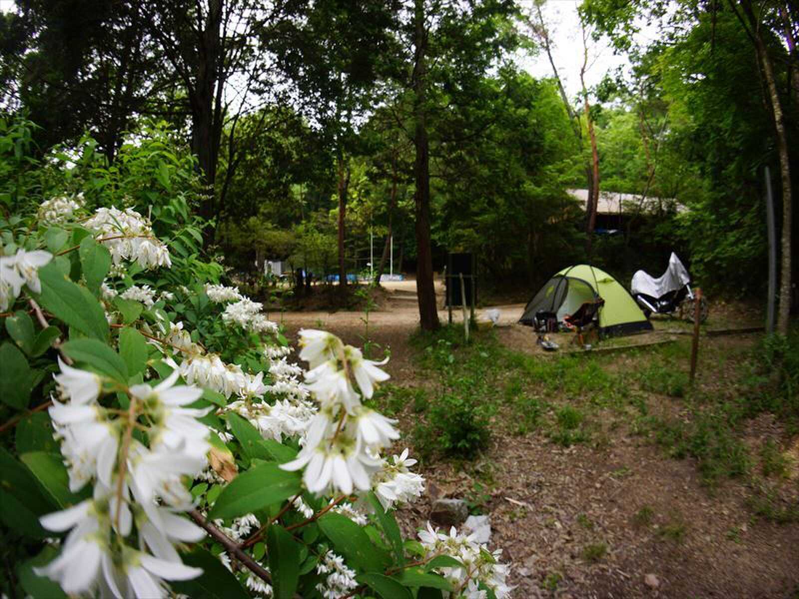 神戸市立洞川教育キャンプ場の写真 5枚目