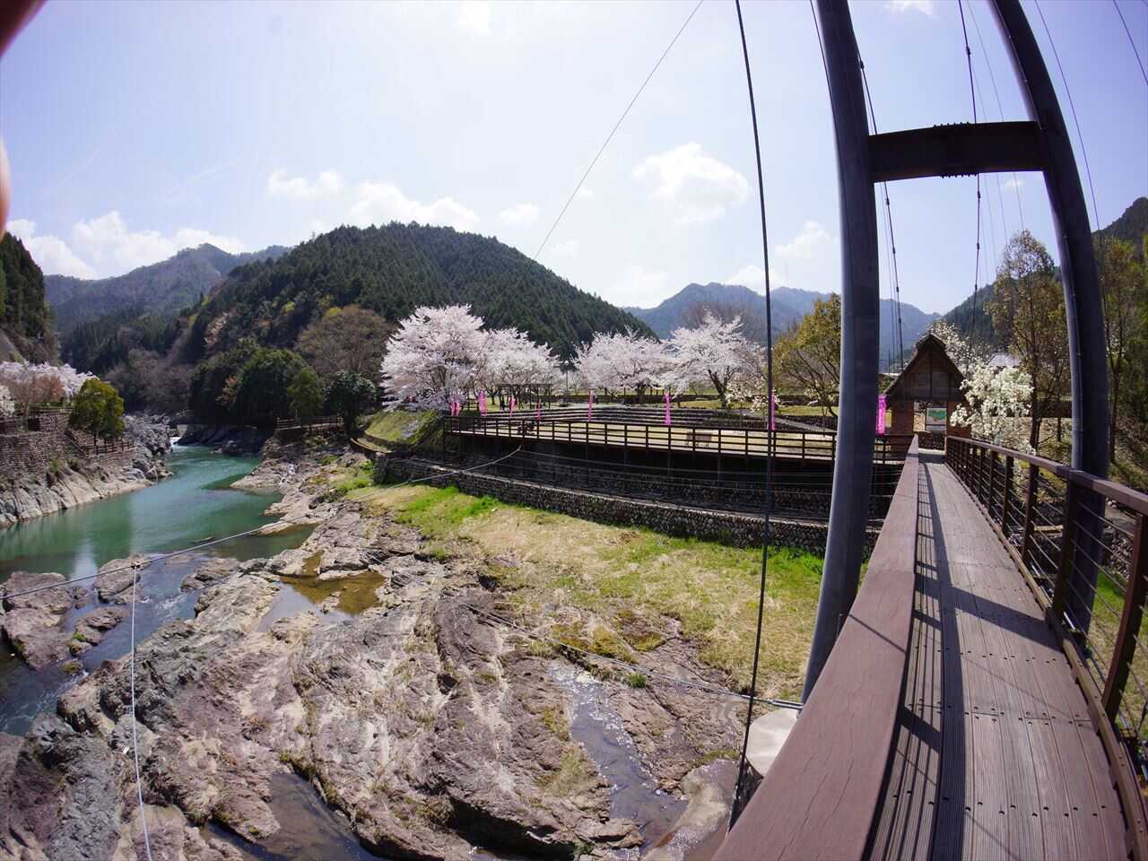 川代公園キャンプ場の写真 2枚目