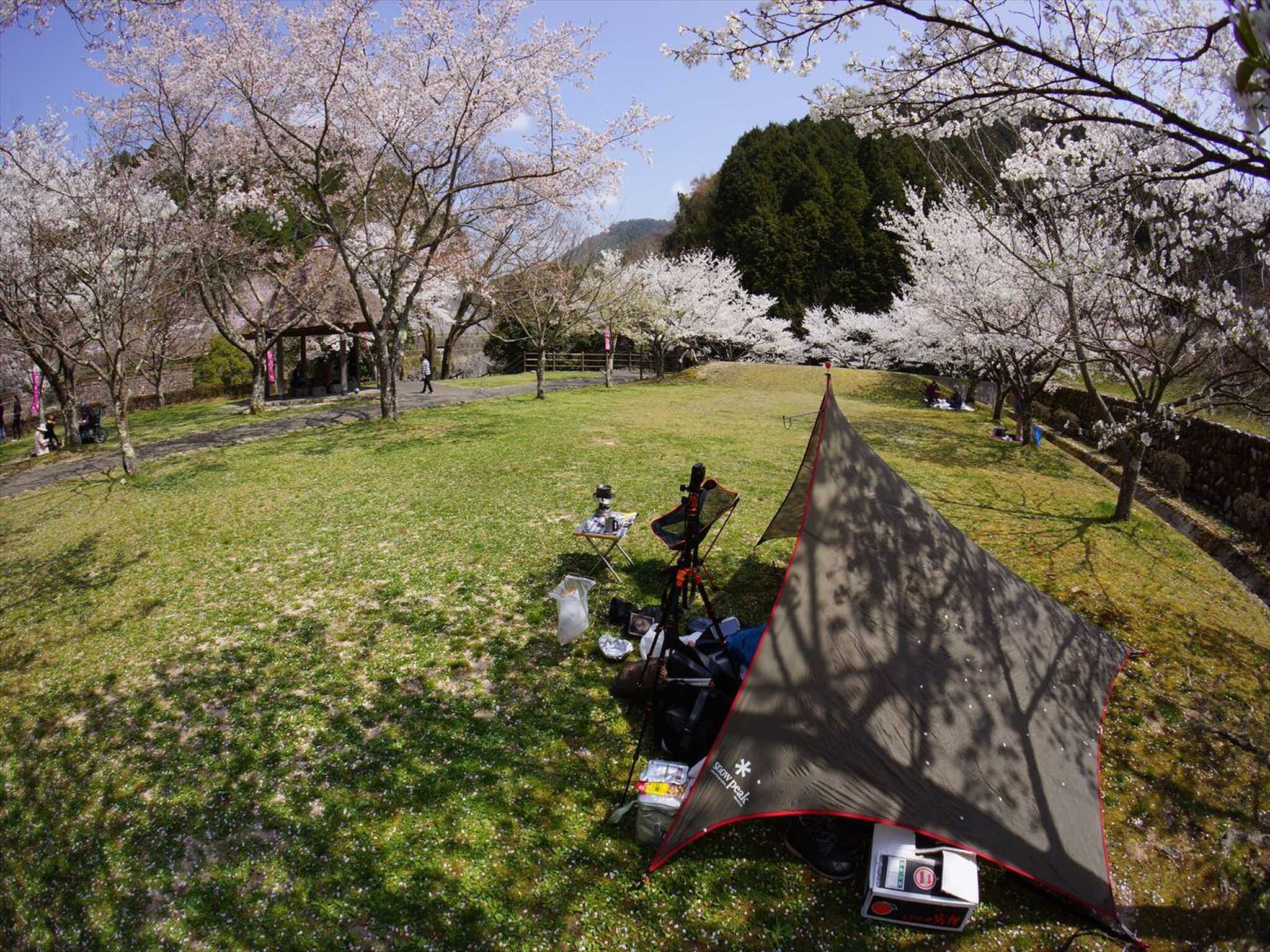 川代公園キャンプ場の写真 3枚目