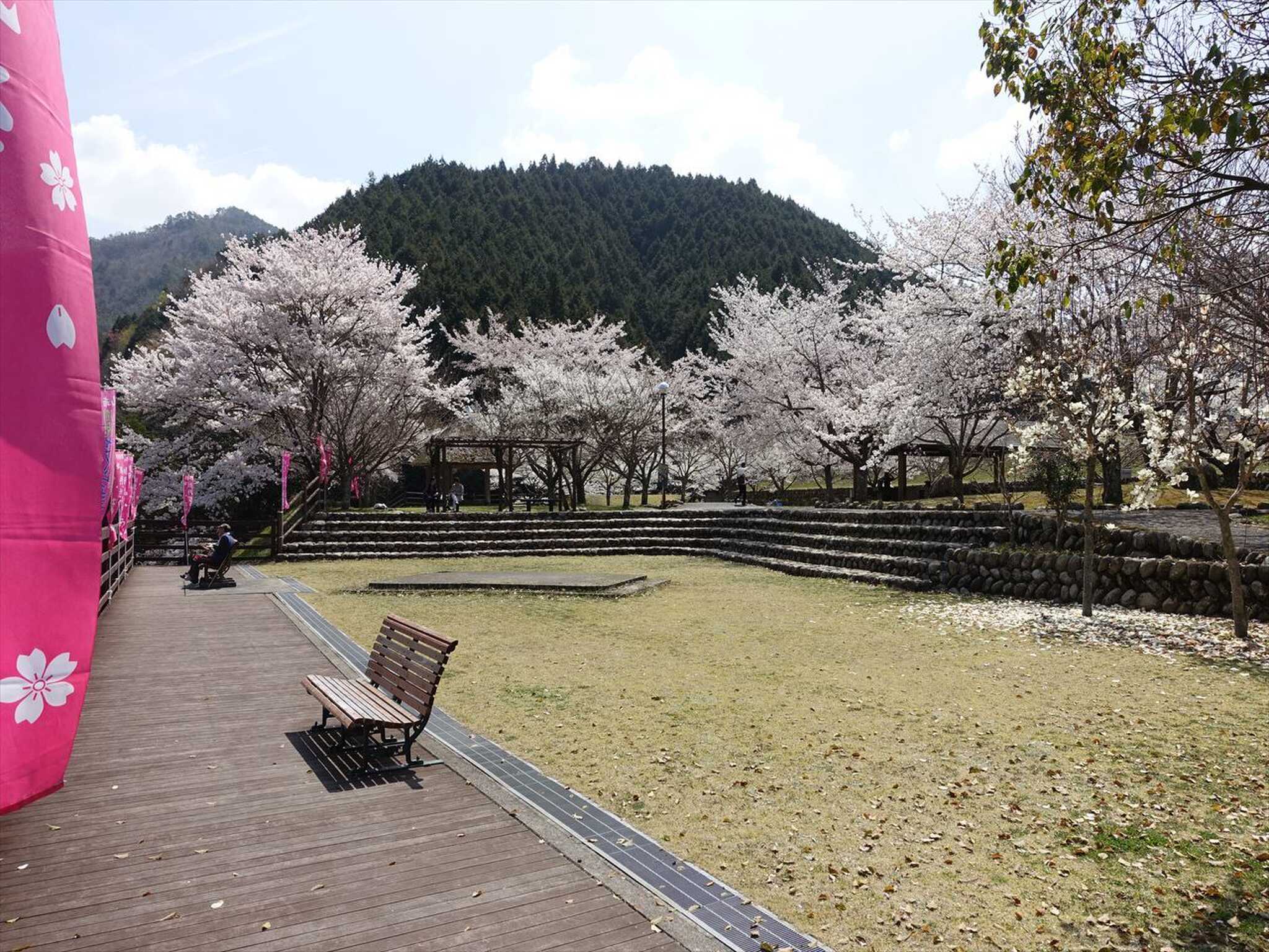 川代公園キャンプ場の写真 4枚目