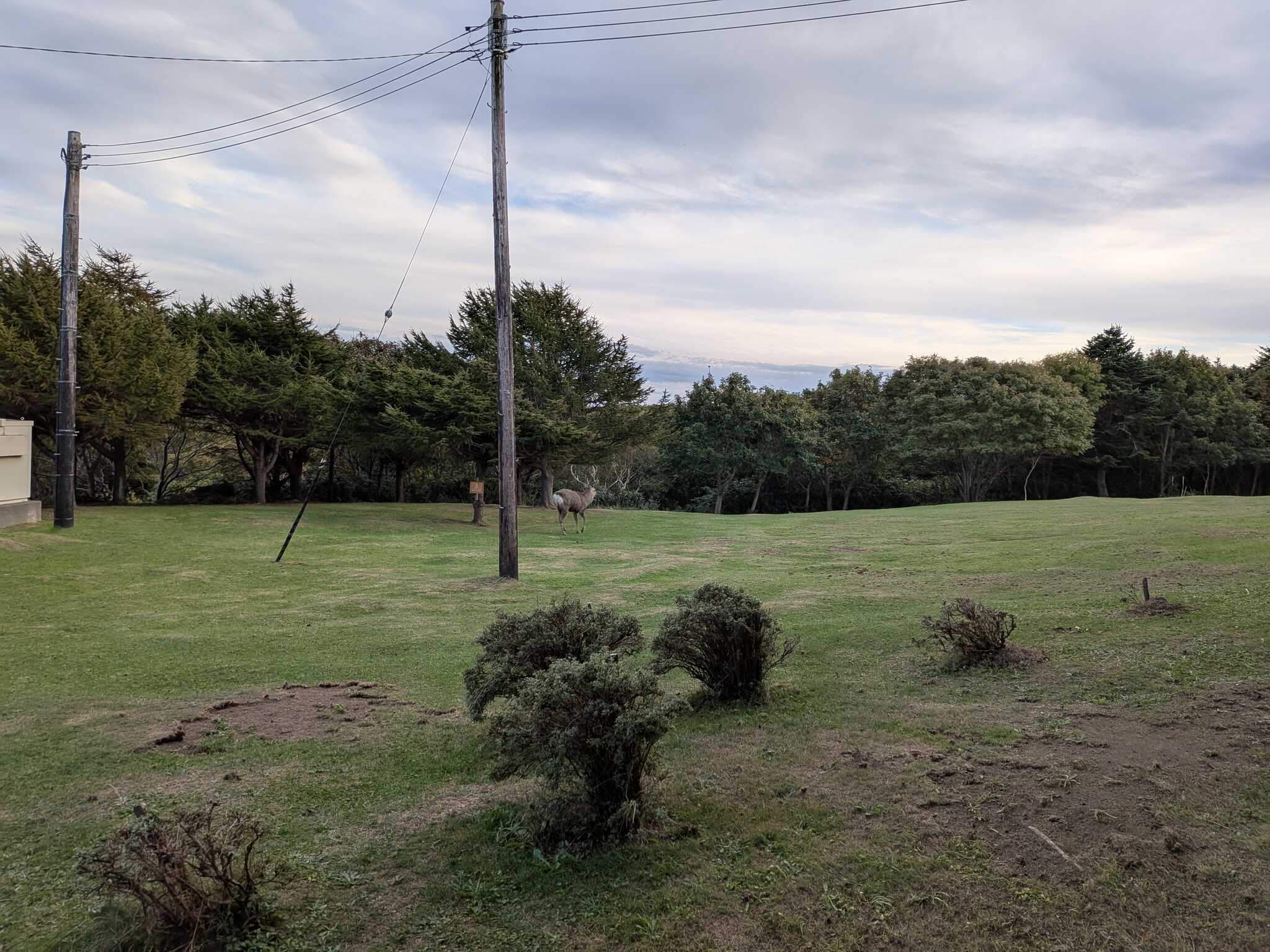 稚内森林公園キャンプ場の写真 3枚目