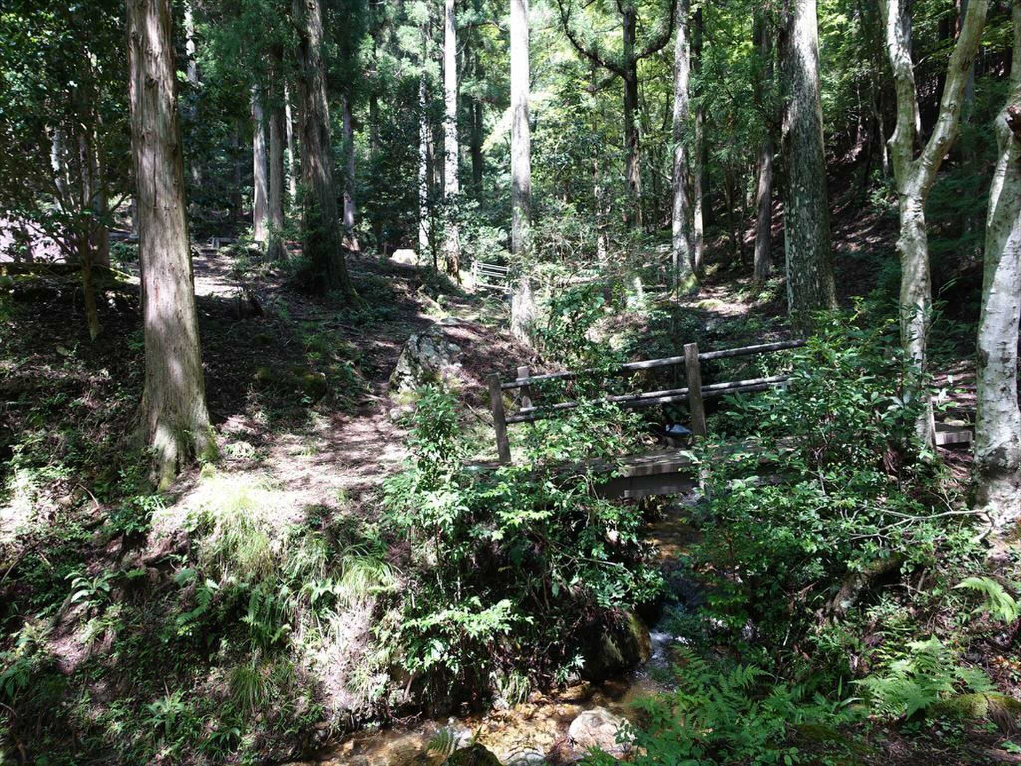 筱見四十八滝キャンプ場の写真 3枚目