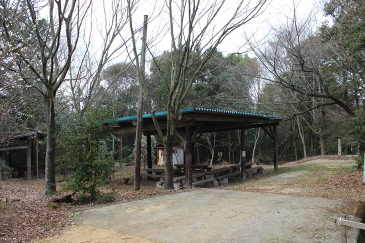 ふるさとの森天神山キャンプ場の写真 1枚目