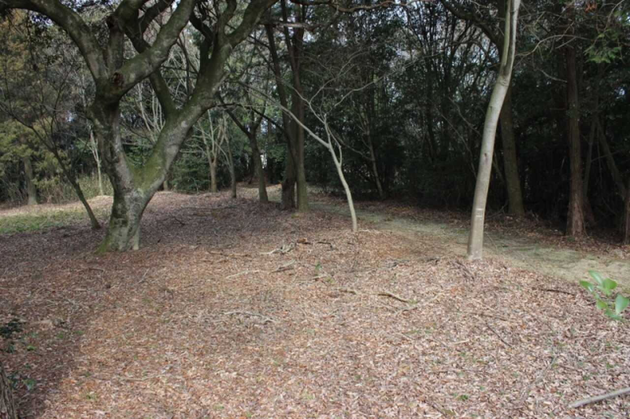 ふるさとの森天神山キャンプ場の写真 4枚目