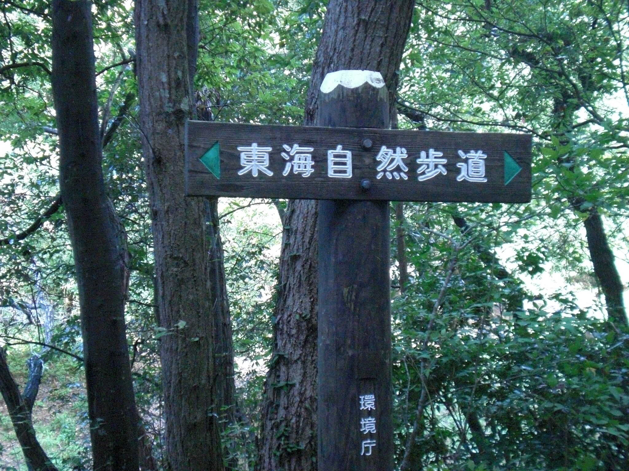 【R5/11 閉鎖】八曽モミの木キャンプ場の写真 3枚目