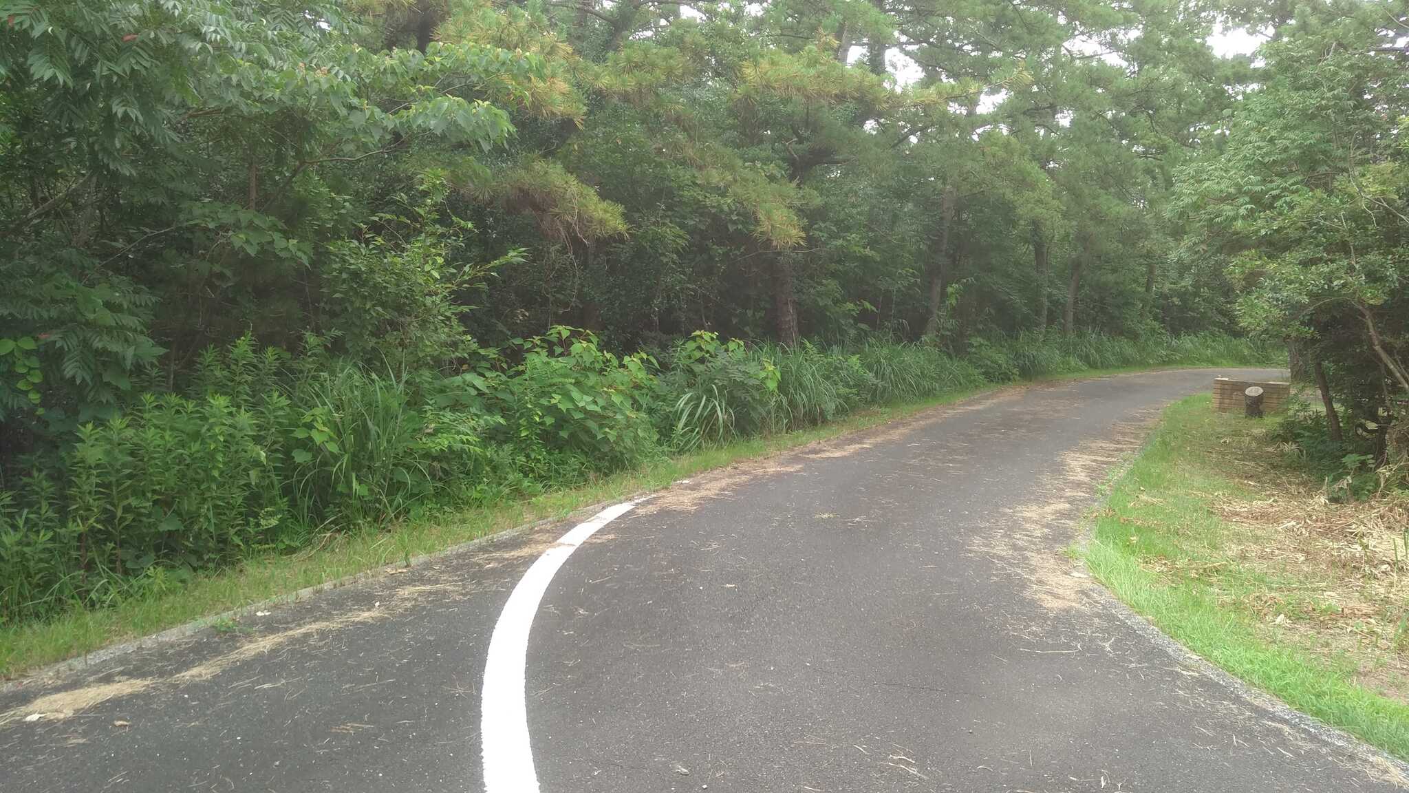 休暇村伊良湖オートキャンプ場の写真 2枚目