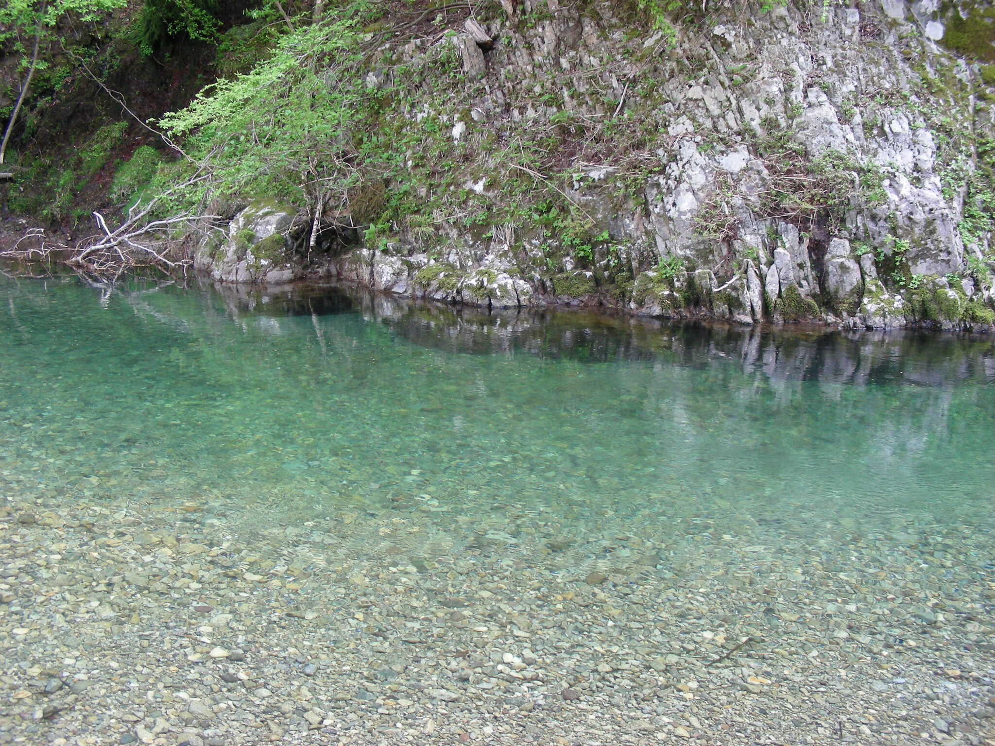 弓掛川の清流