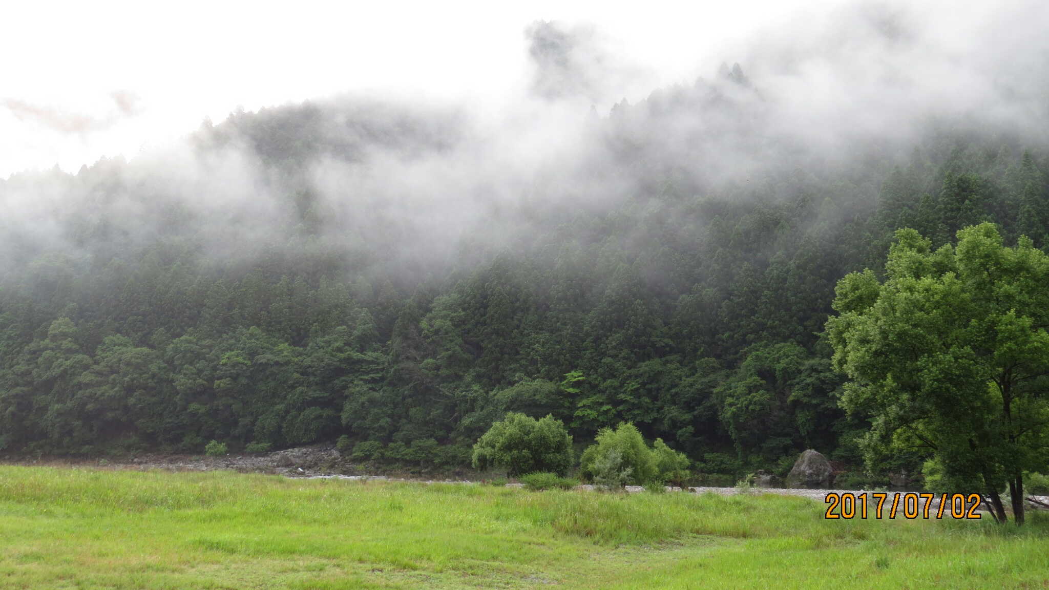サイトから見上げる朝もやの山