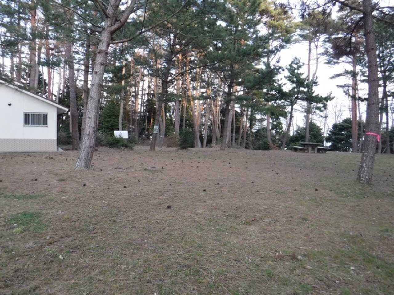 御崎野営場の写真 4枚目