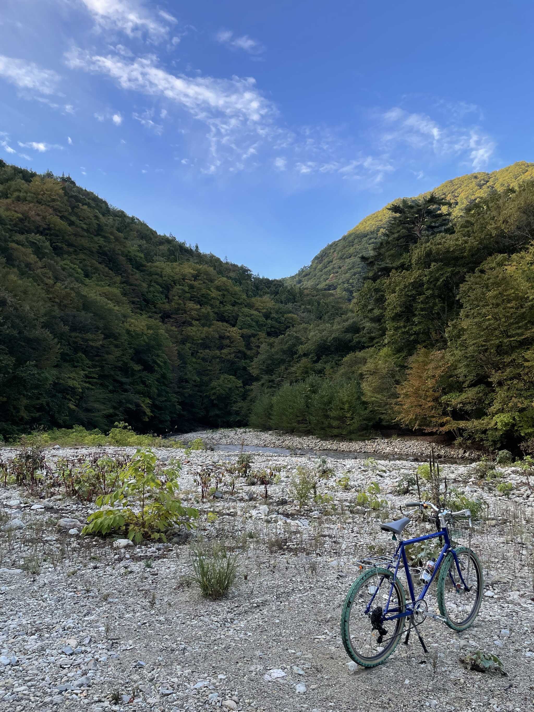 廃道の林道の先
