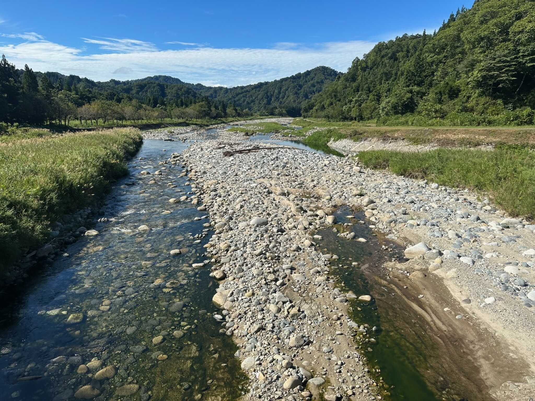 橋から下流を見た写真