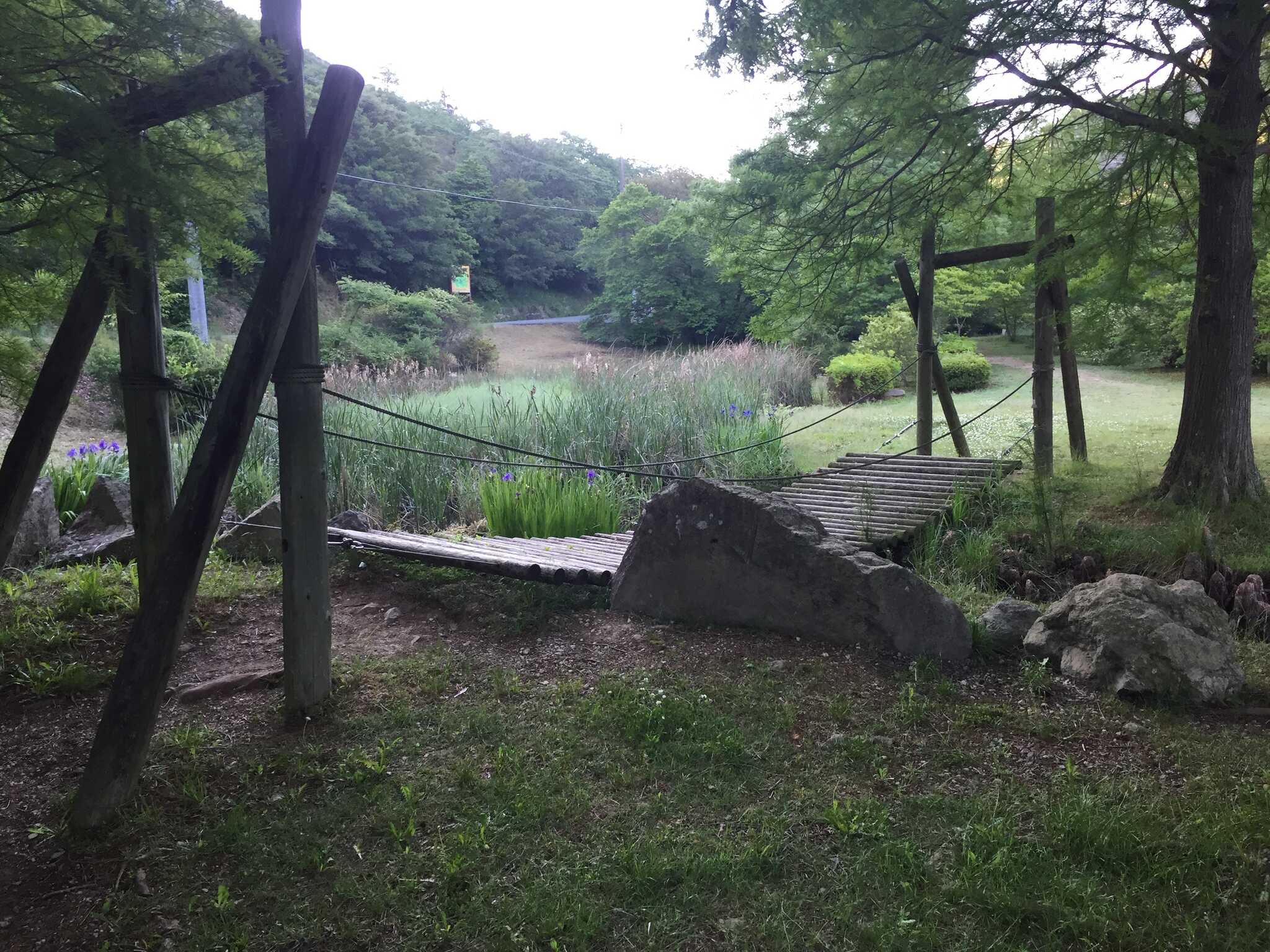 古法華自然公園のユーザー投稿写真 10枚目