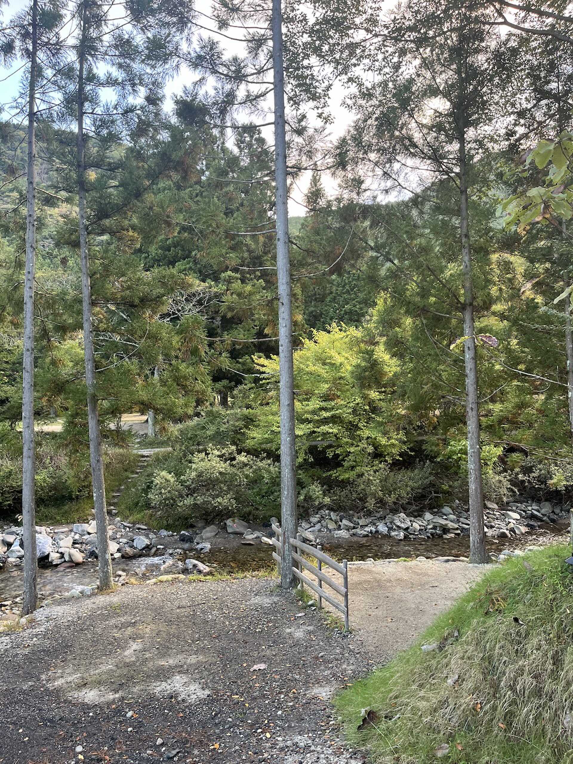 キャンプサイトから見た川
