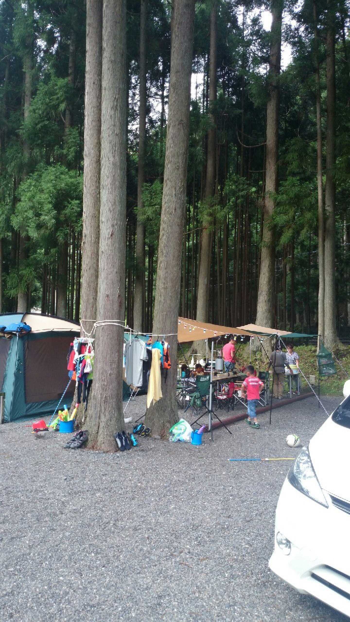 西之谷ふれあいの森キャンプ場の写真 3枚目