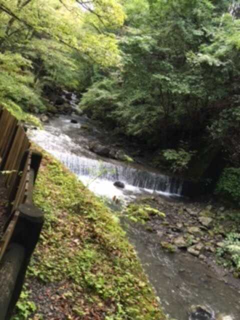 不動の滝キャンプ場のユーザー投稿写真 1枚目