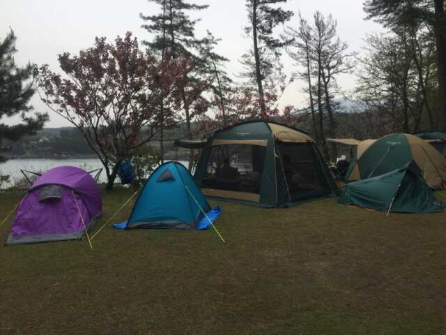 三崎公園キャンプ場の写真 3枚目