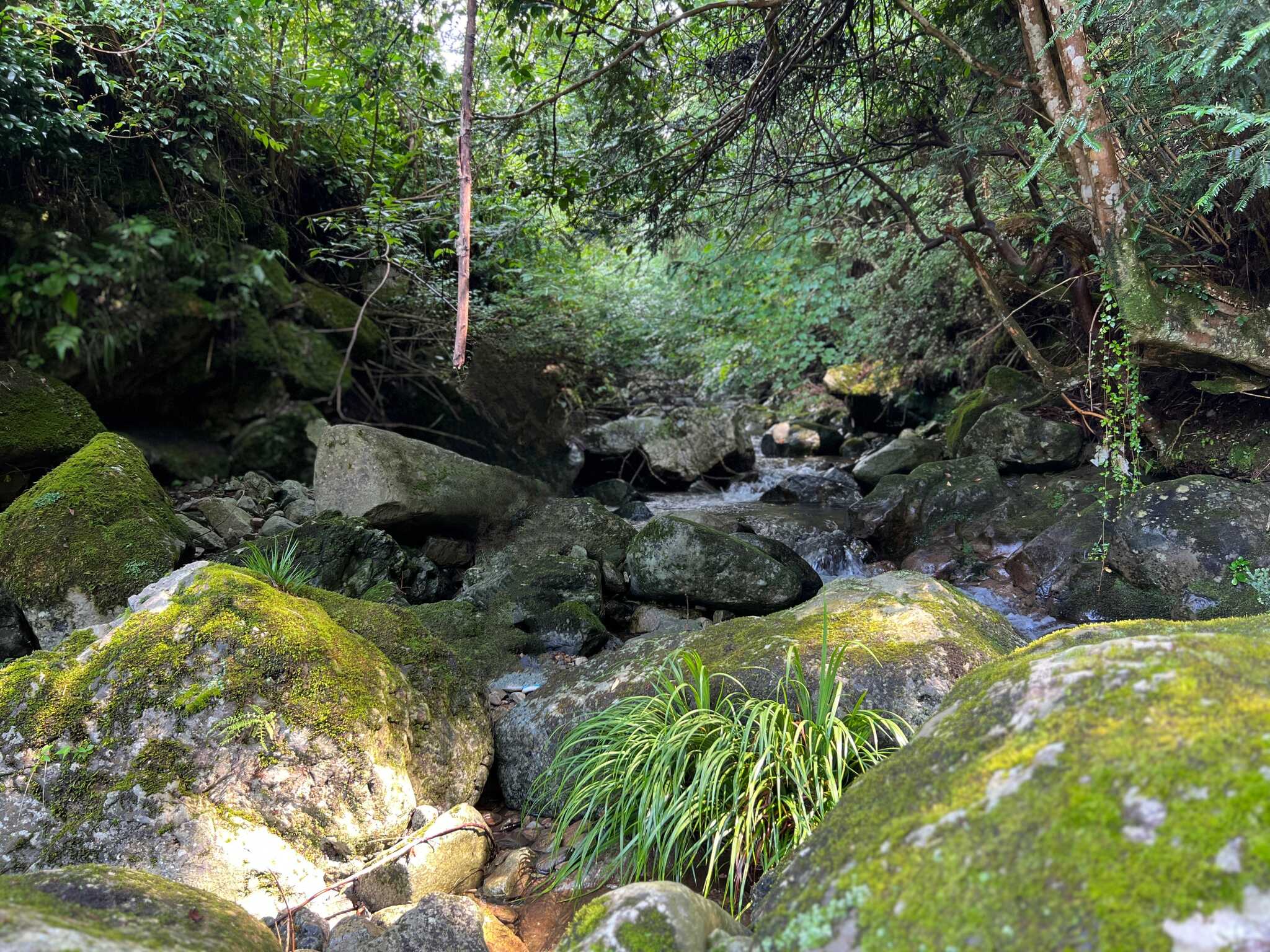 キャンプ場側の川