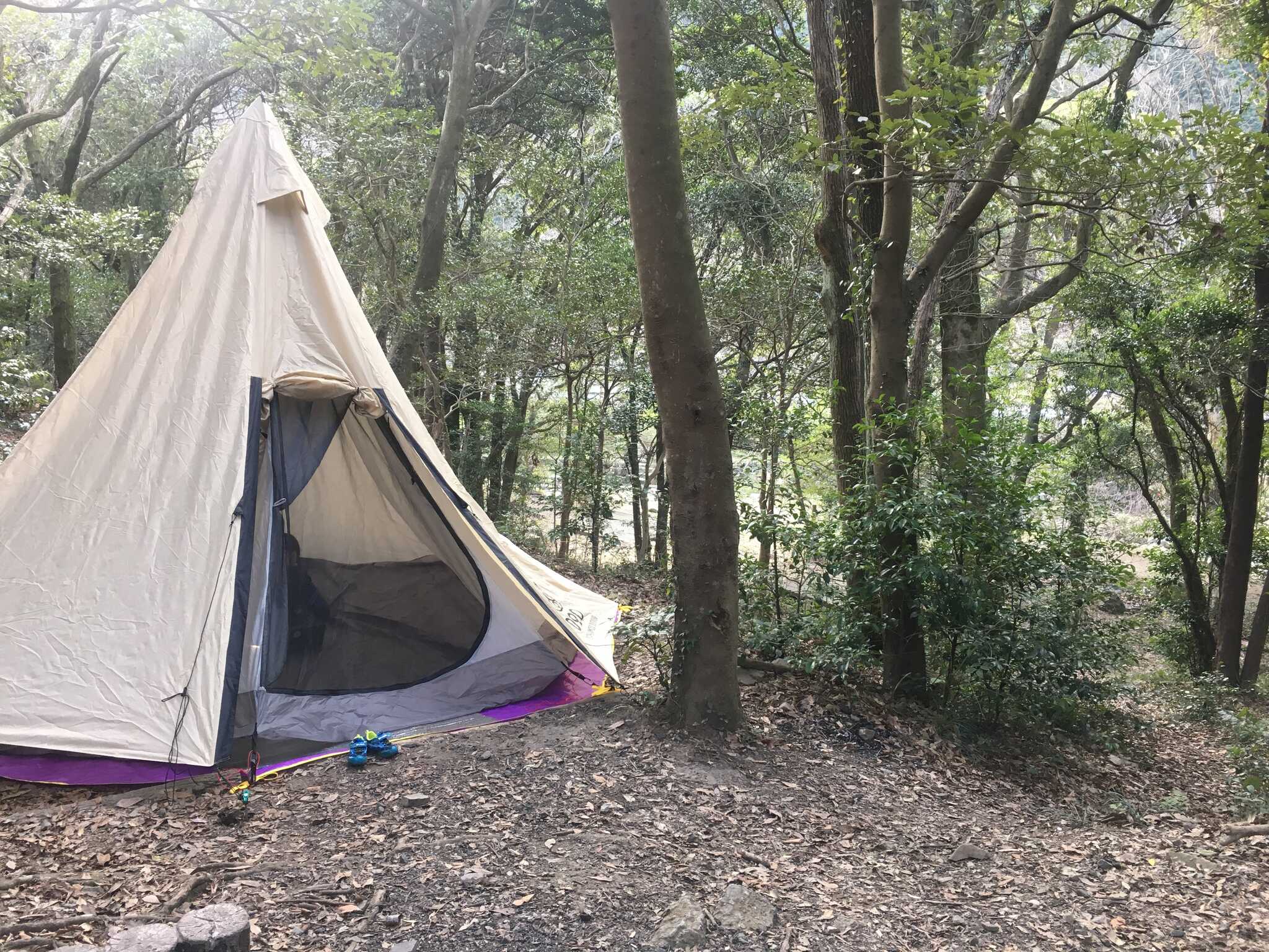 深坂自然の森キャンプ場