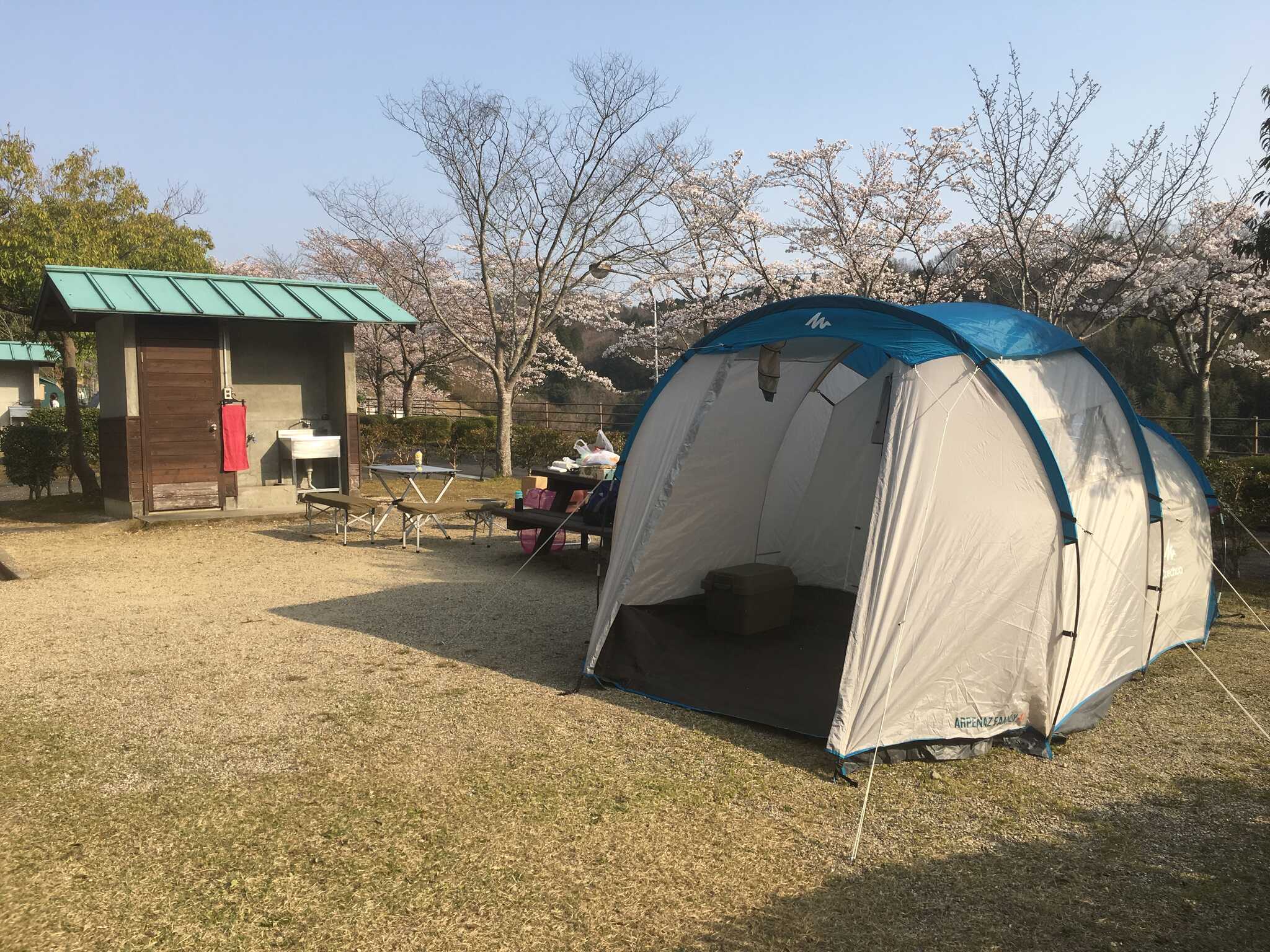 島ヶ原温泉やぶっちゃオートキャンプ場の写真 5枚目