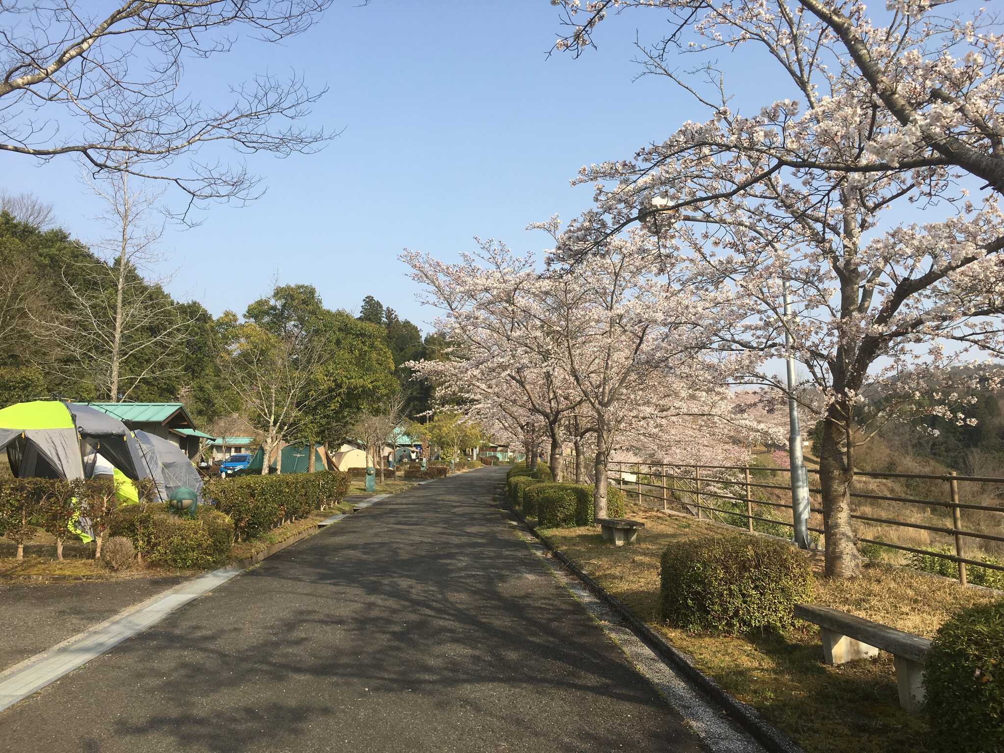 サイトまでの道幅は広くて安全