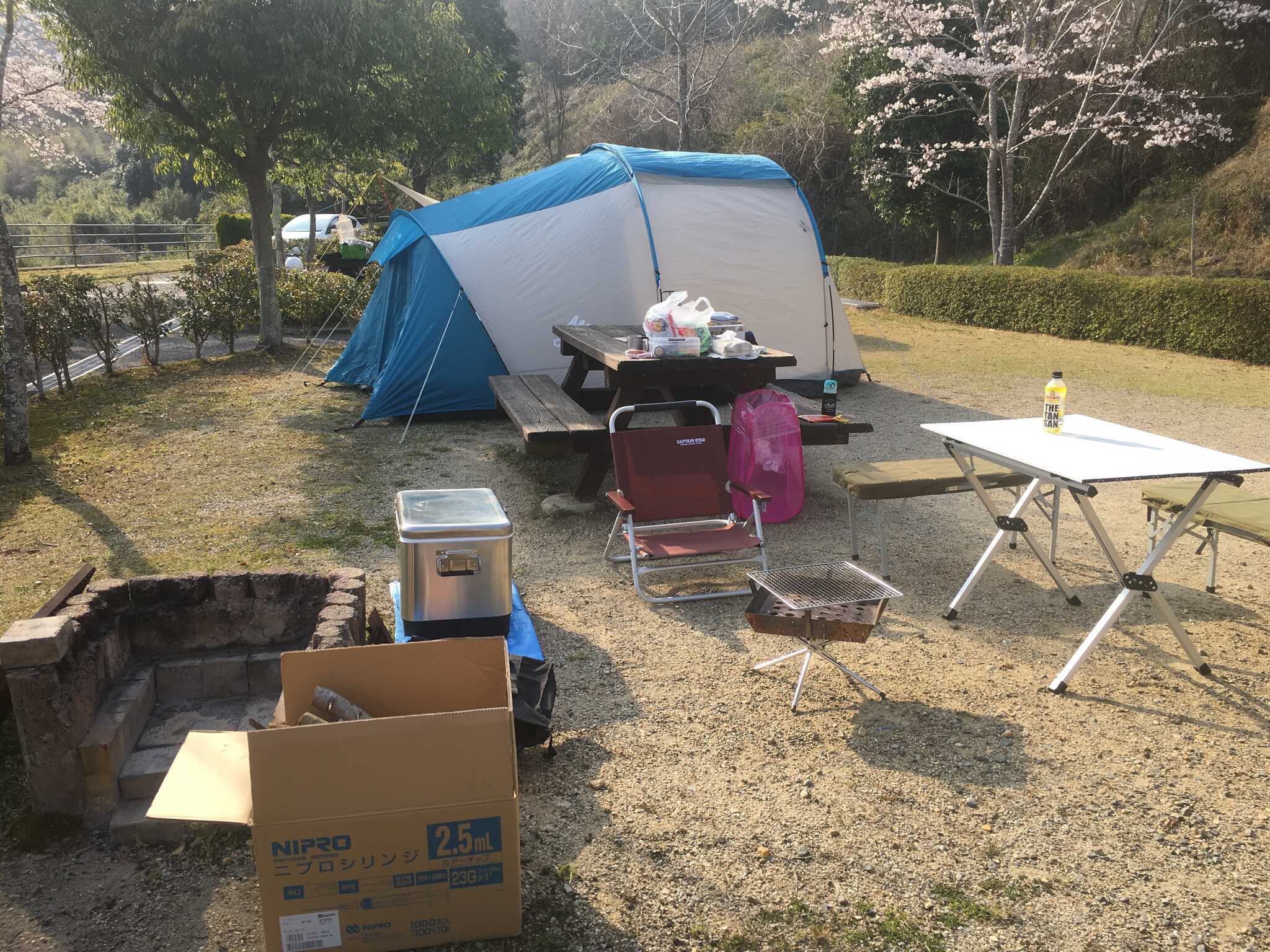 Aサイト