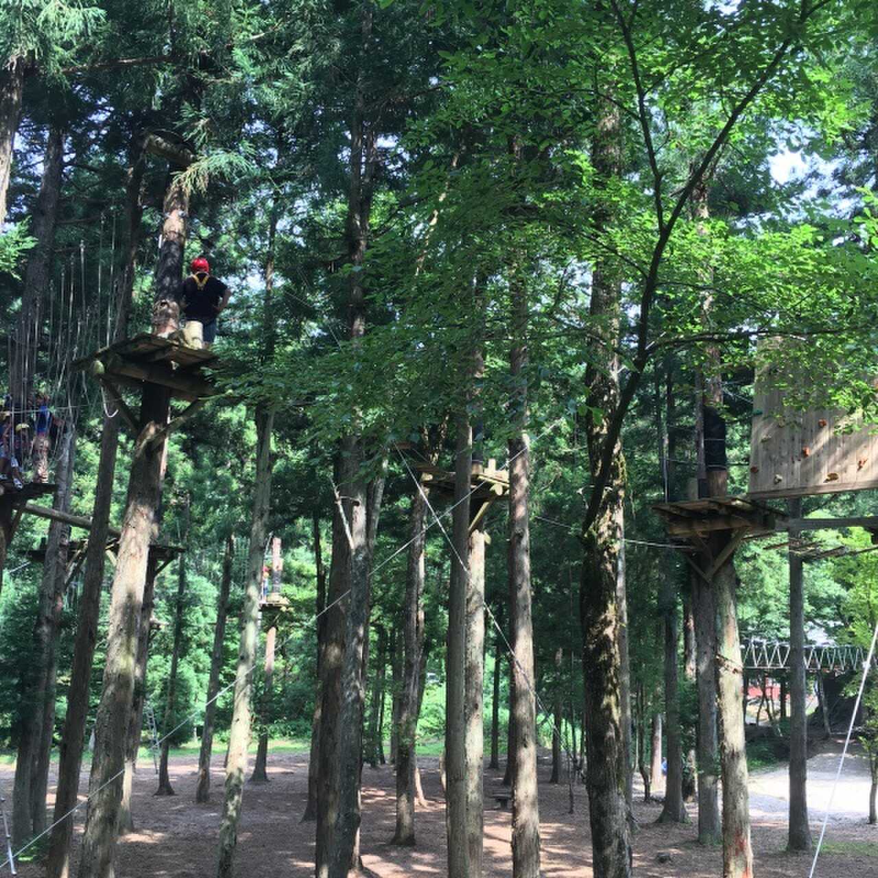 ツリーアドベンチャー