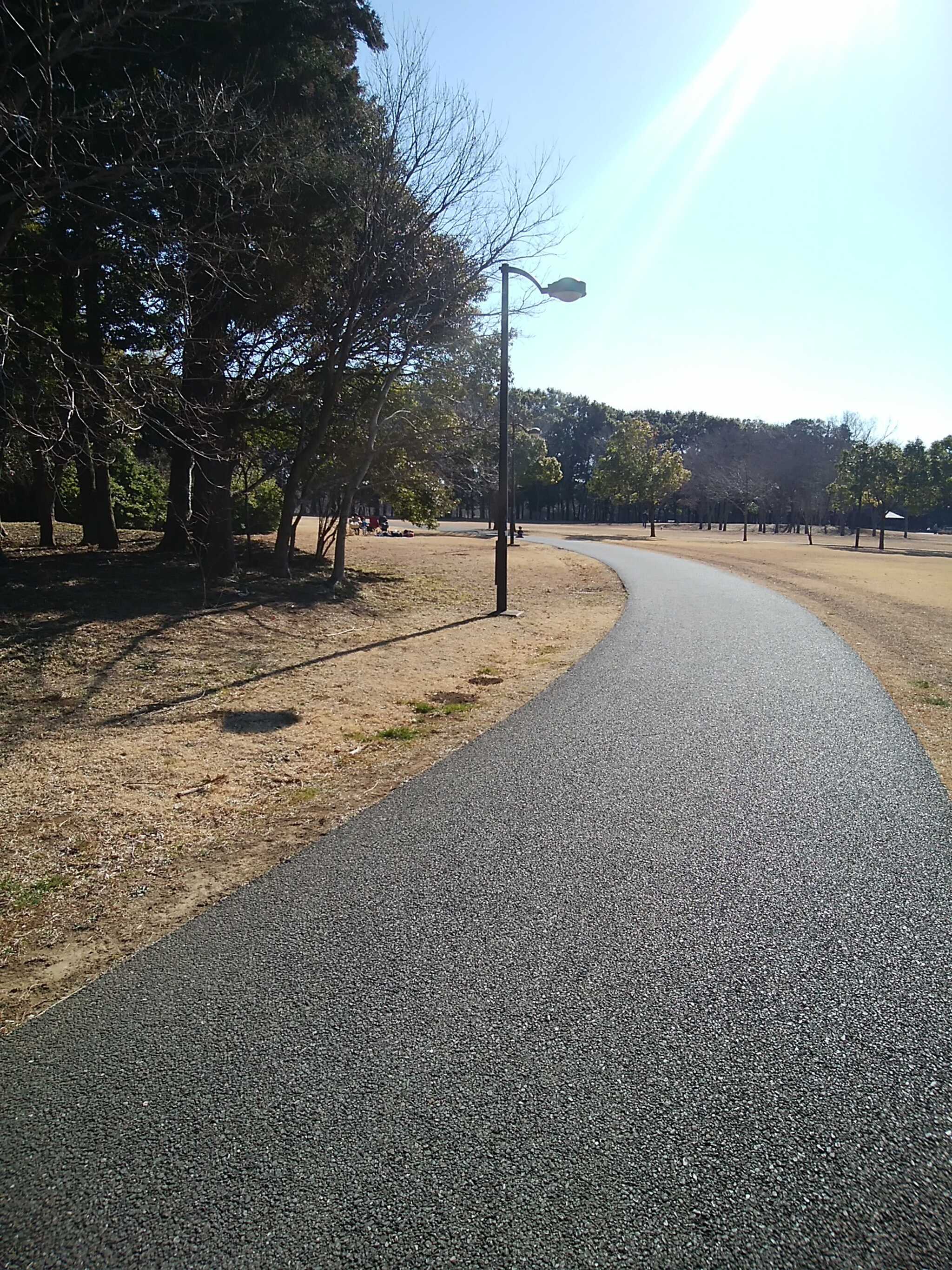 千葉県立北総花の丘公園の写真 1枚目