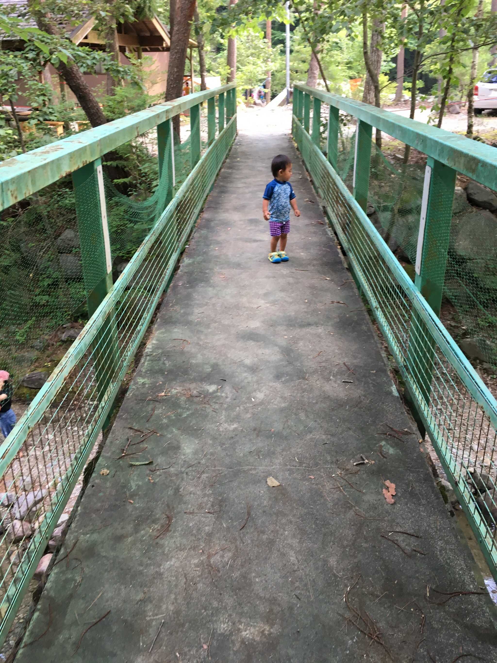 峡北恵那キャンプ場の写真 2枚目