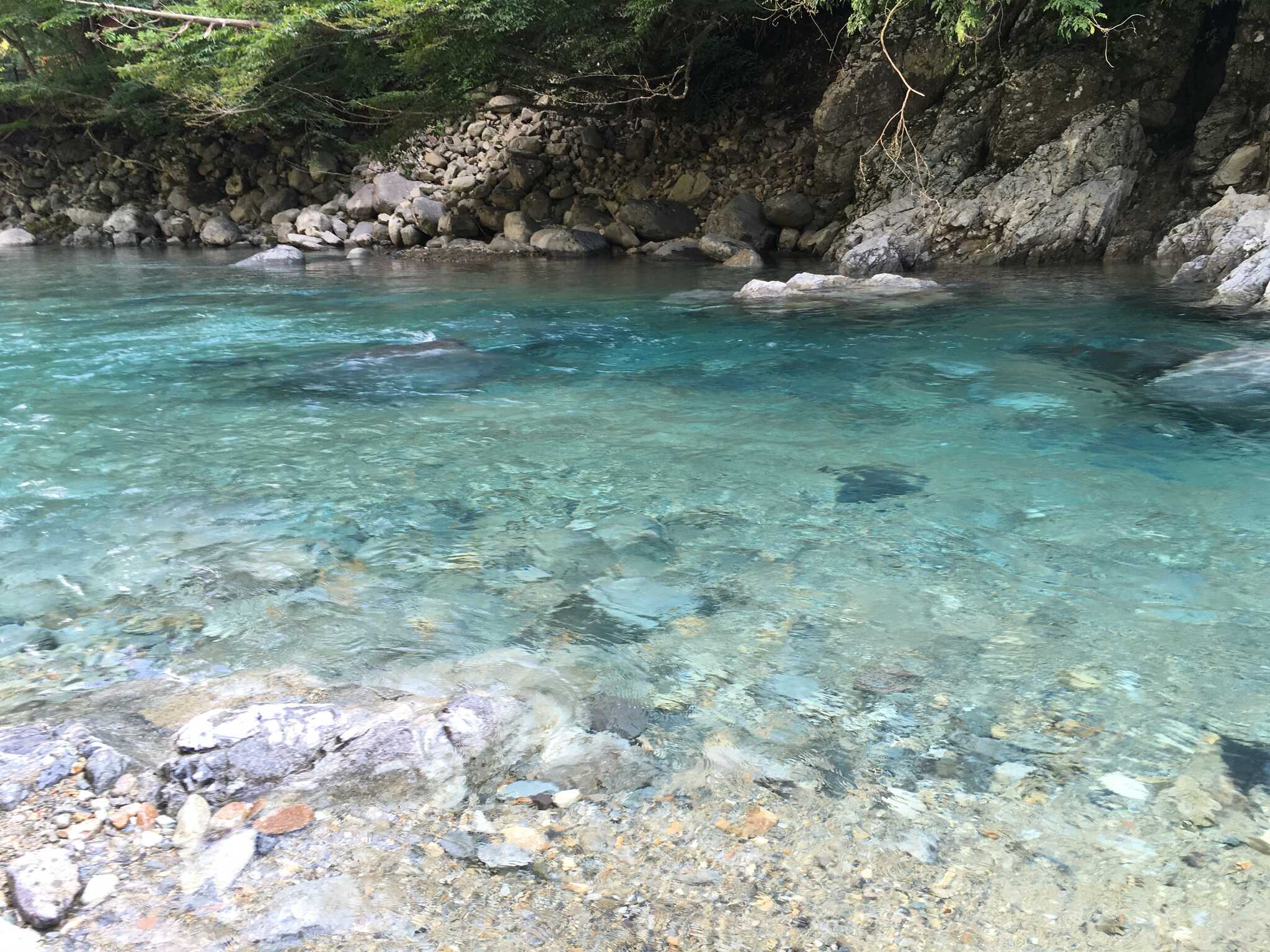 峡北恵那キャンプ場の写真 3枚目